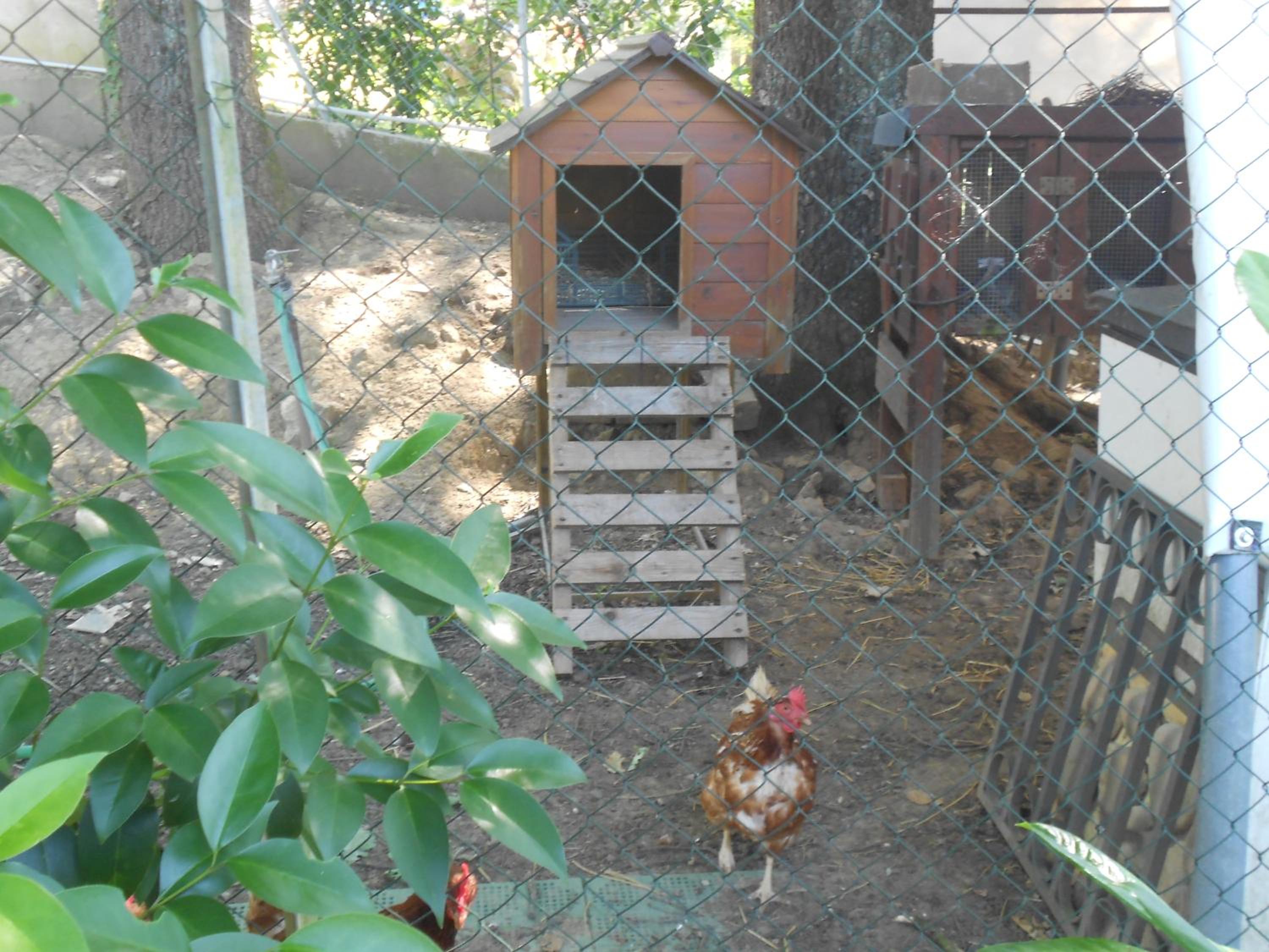 B&B La Quercia
