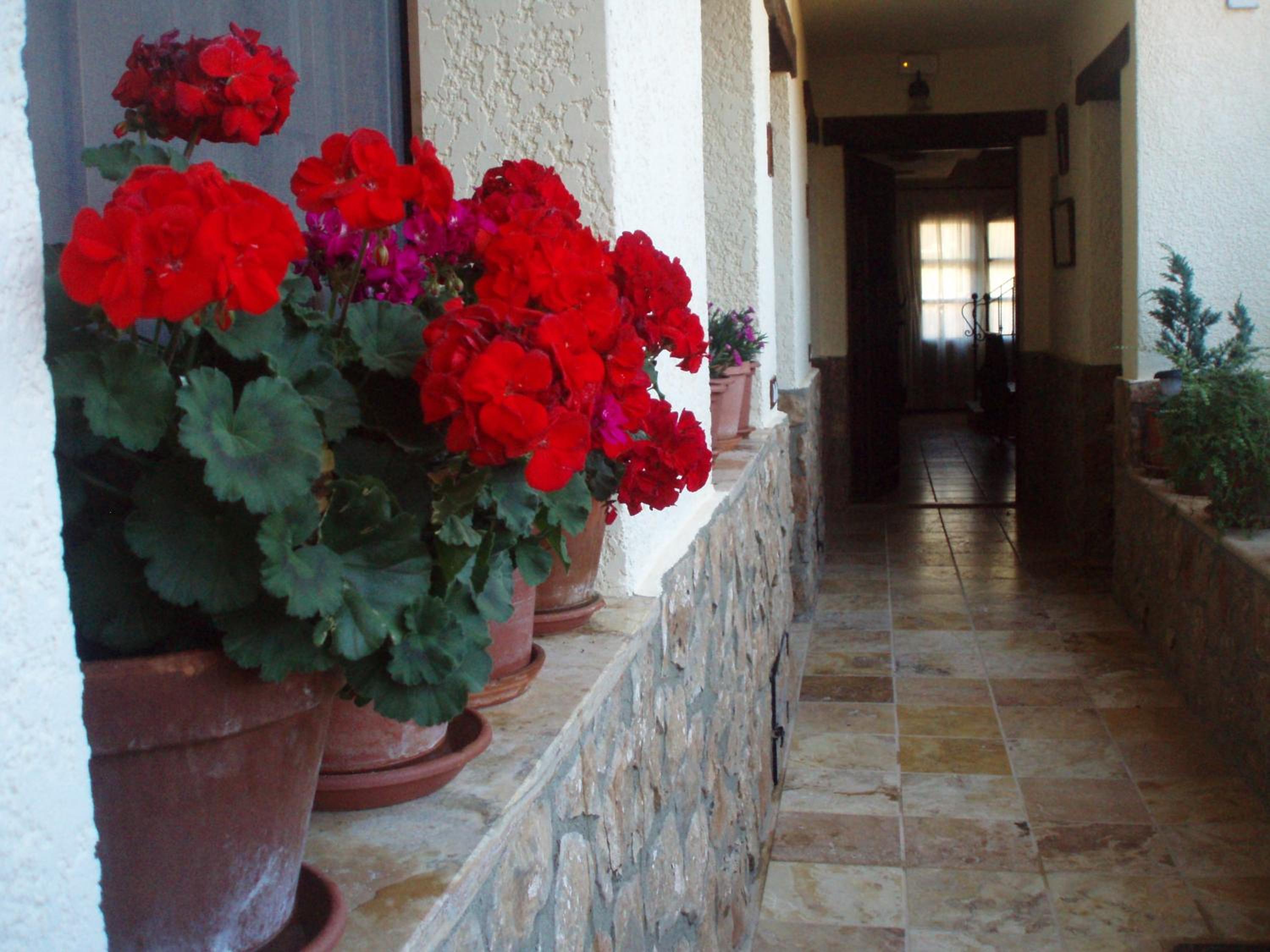 Apartamentos Rurales La Muralla II view 5