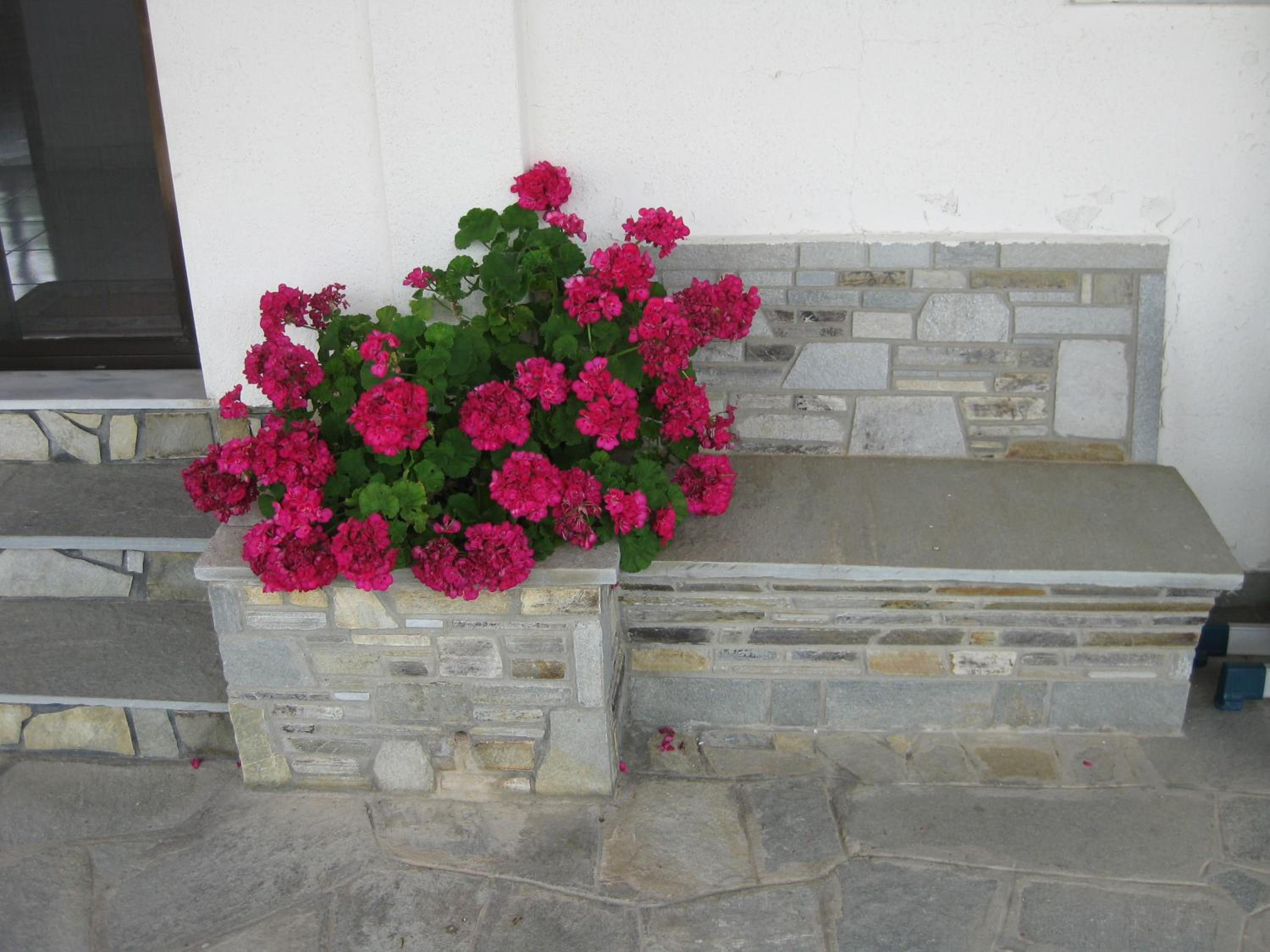 Photo 36