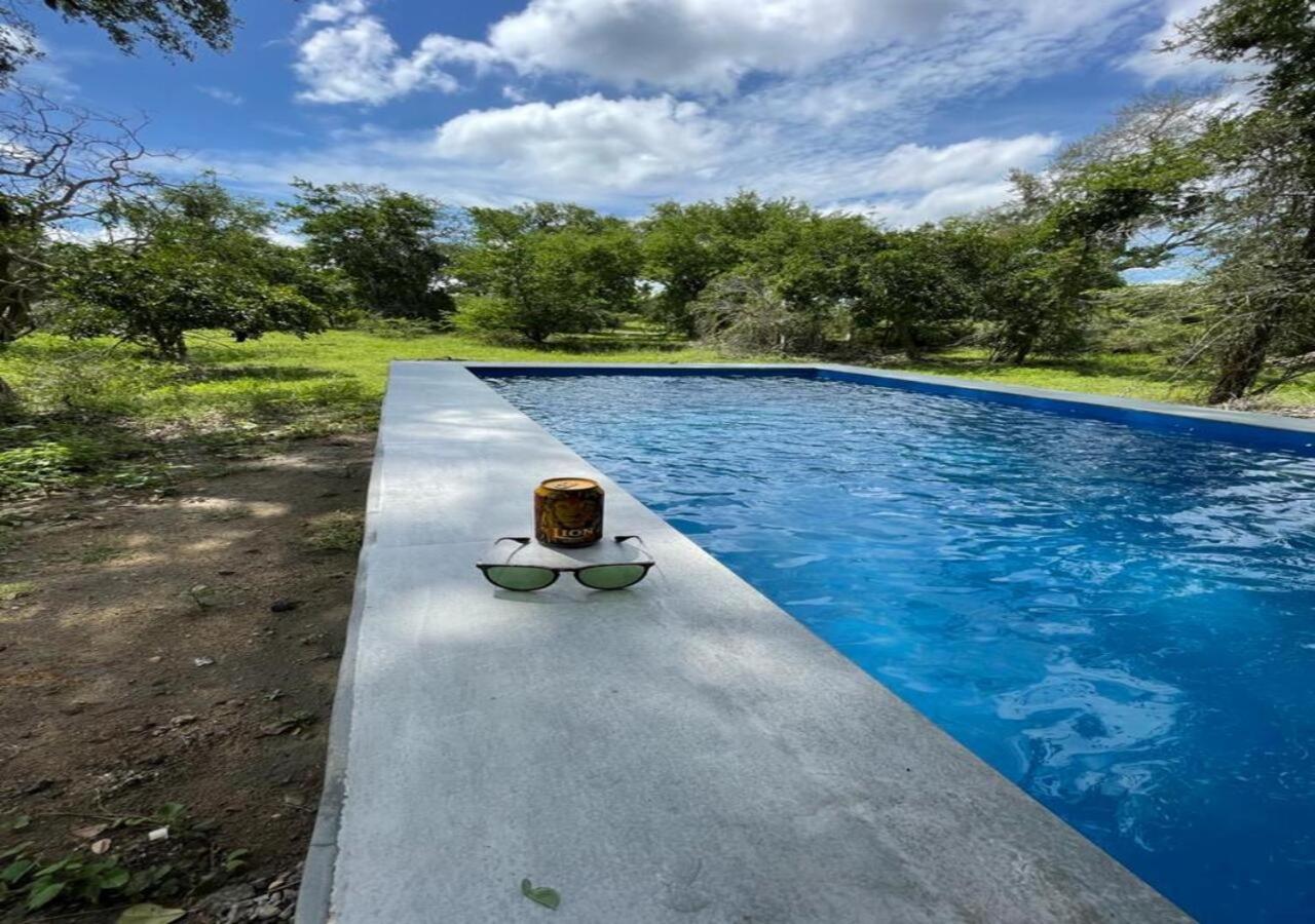 Leopard Trails Yala