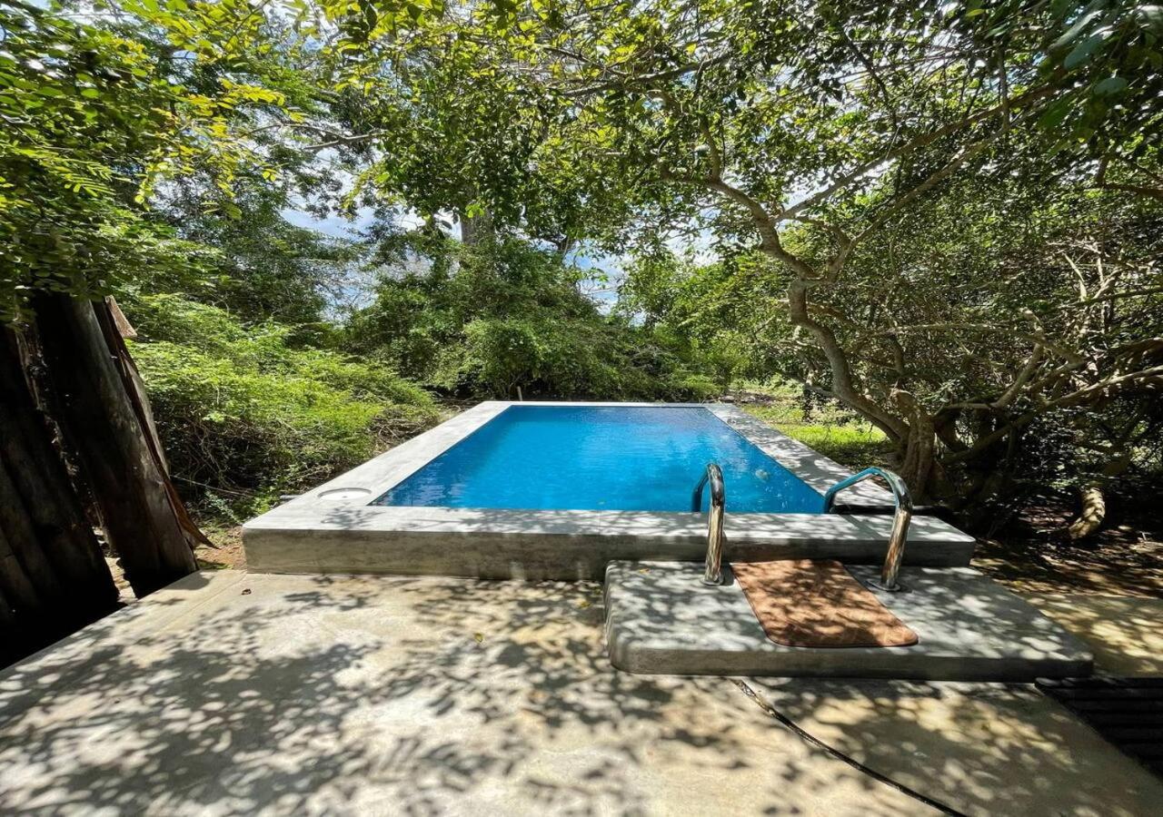 Leopard Trails Yala
