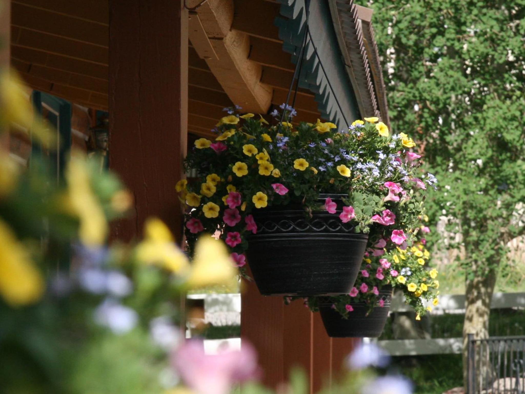 Ouray Inn