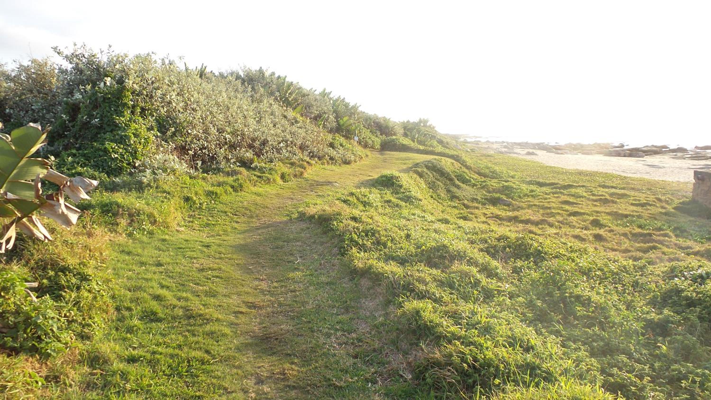 Photo 42