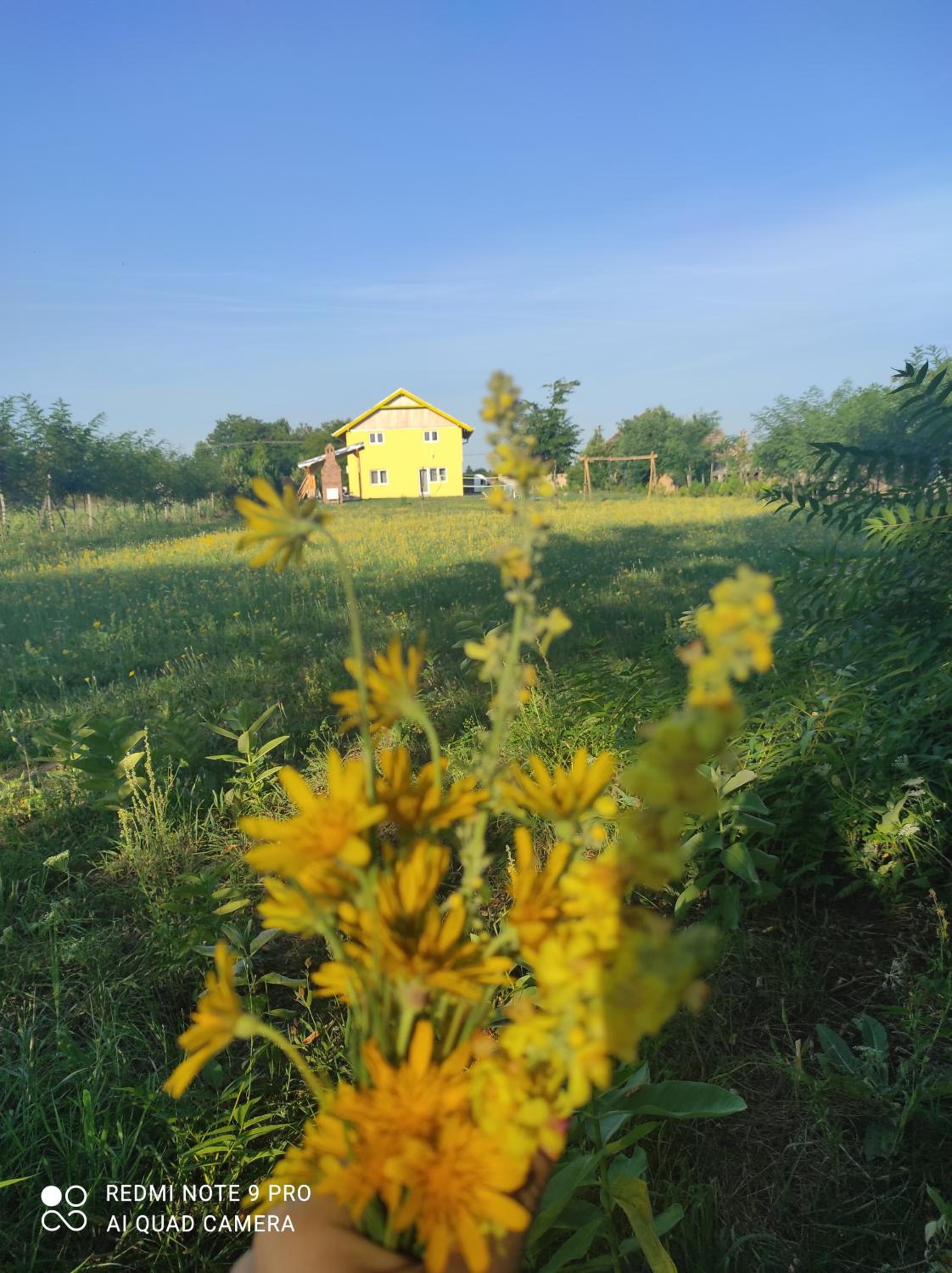 Photo 33