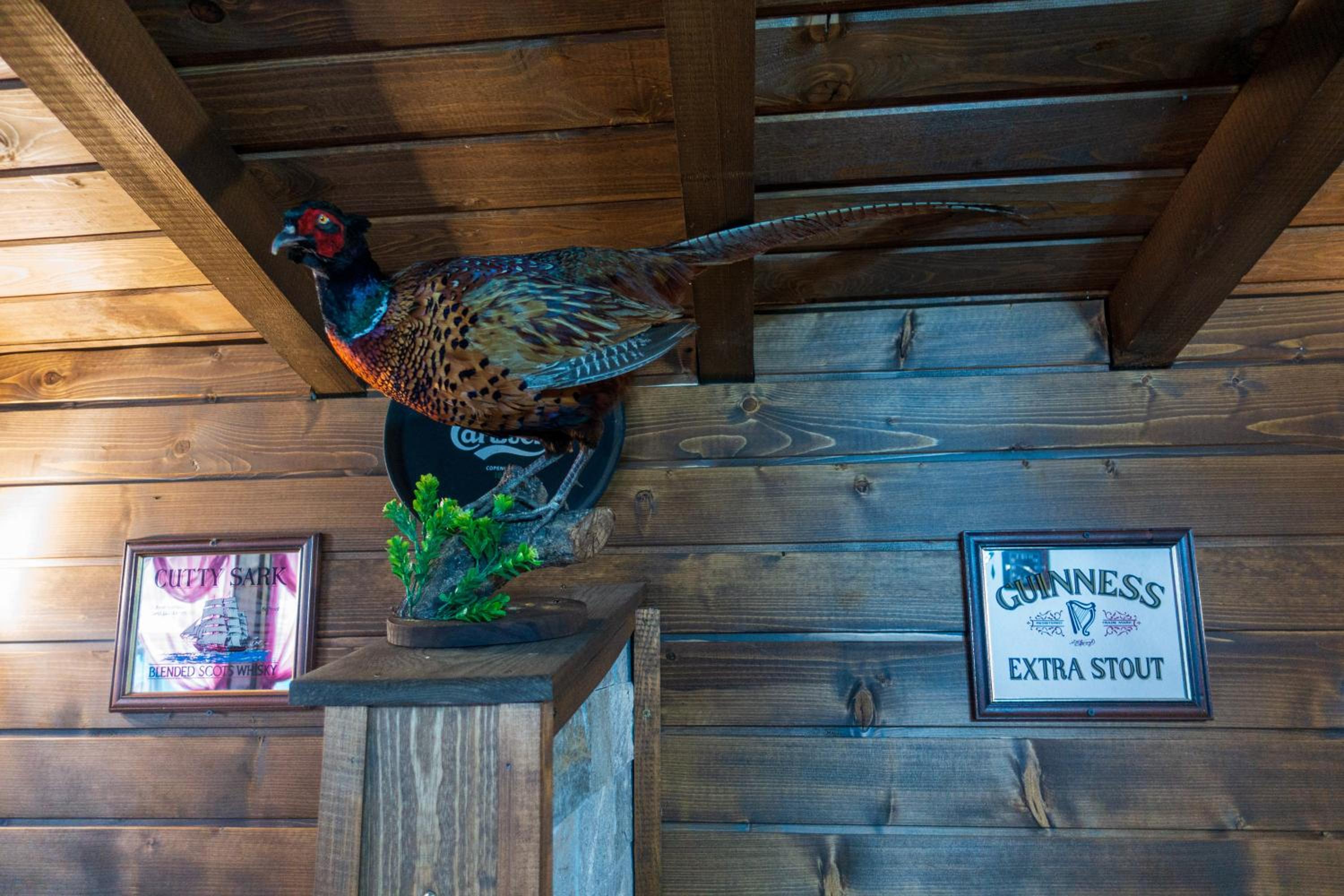 Guest House Markovi