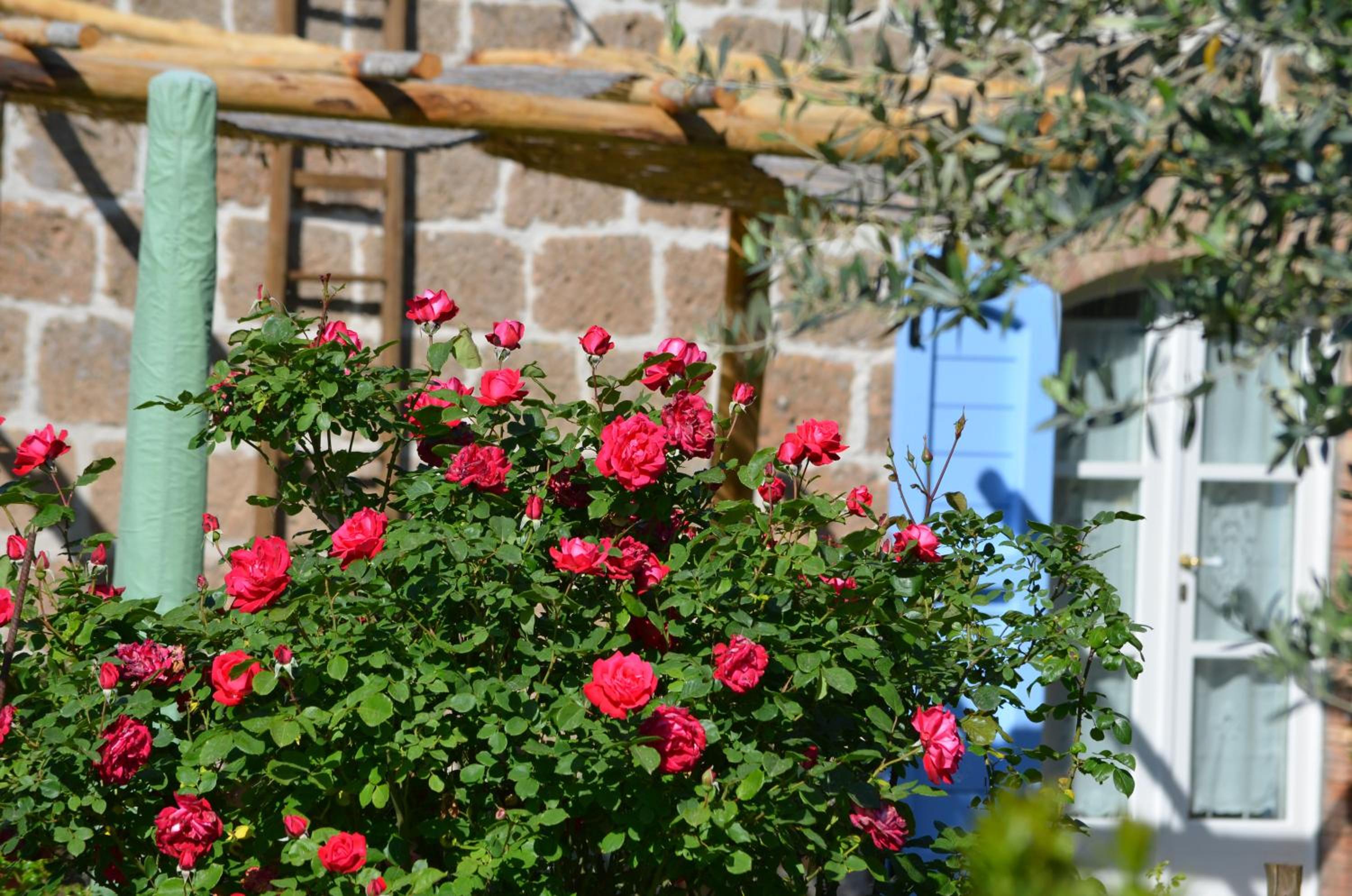 Podere Delle Rose