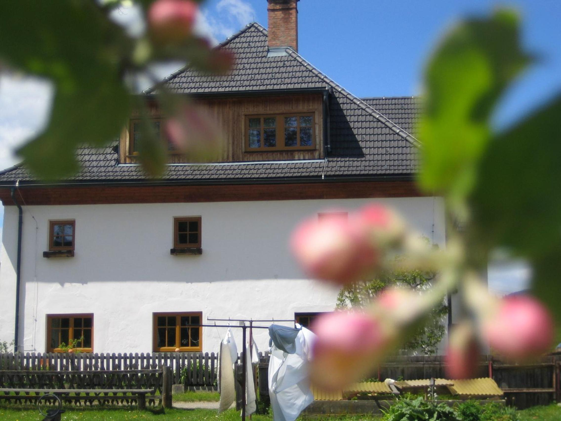 Biohof Köck Tonibauer