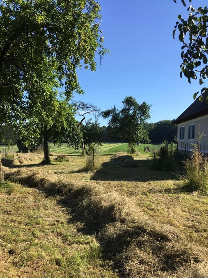 Kellerstoeckl-am-veganen-Bio-Lebenshof-nur-fuer-Hundefreunde-empfohlen