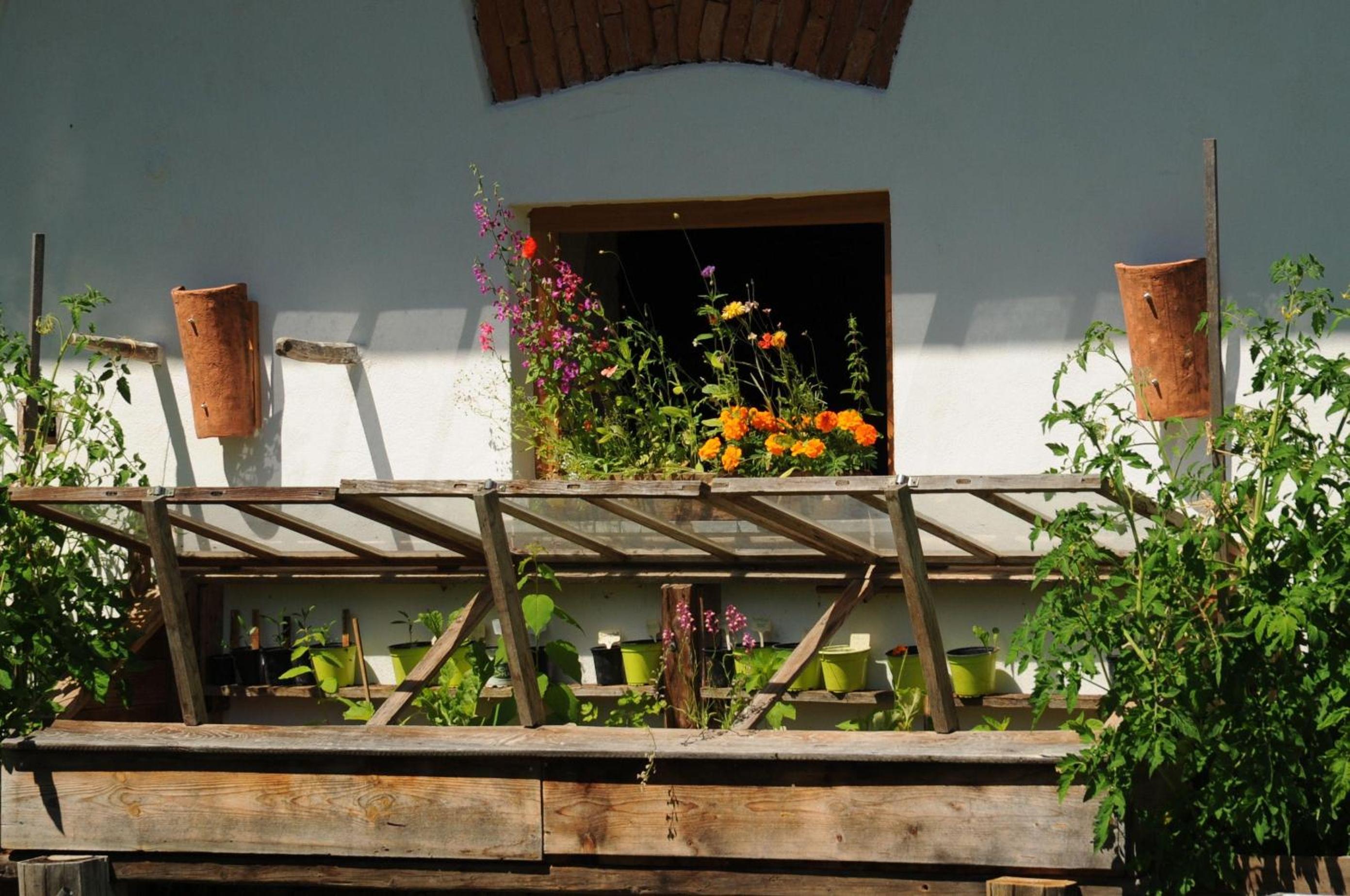 Kellerstoeckl-am-veganen-Bio-Lebenshof-nur-fuer-Hundefreunde-empfohlen