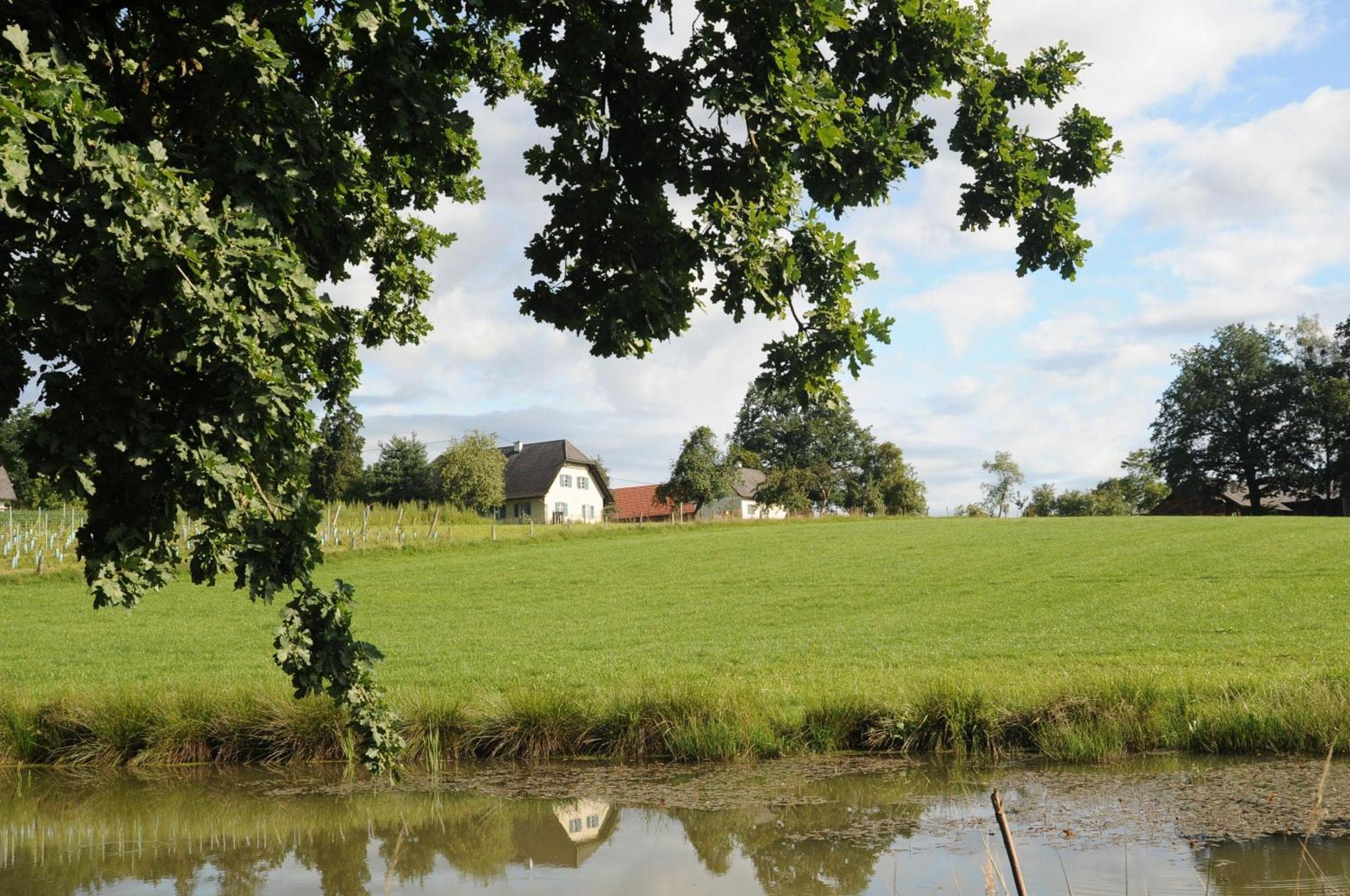 Kellerstoeckl-am-veganen-Bio-Lebenshof-nur-fuer-Hundefreunde-empfohlen