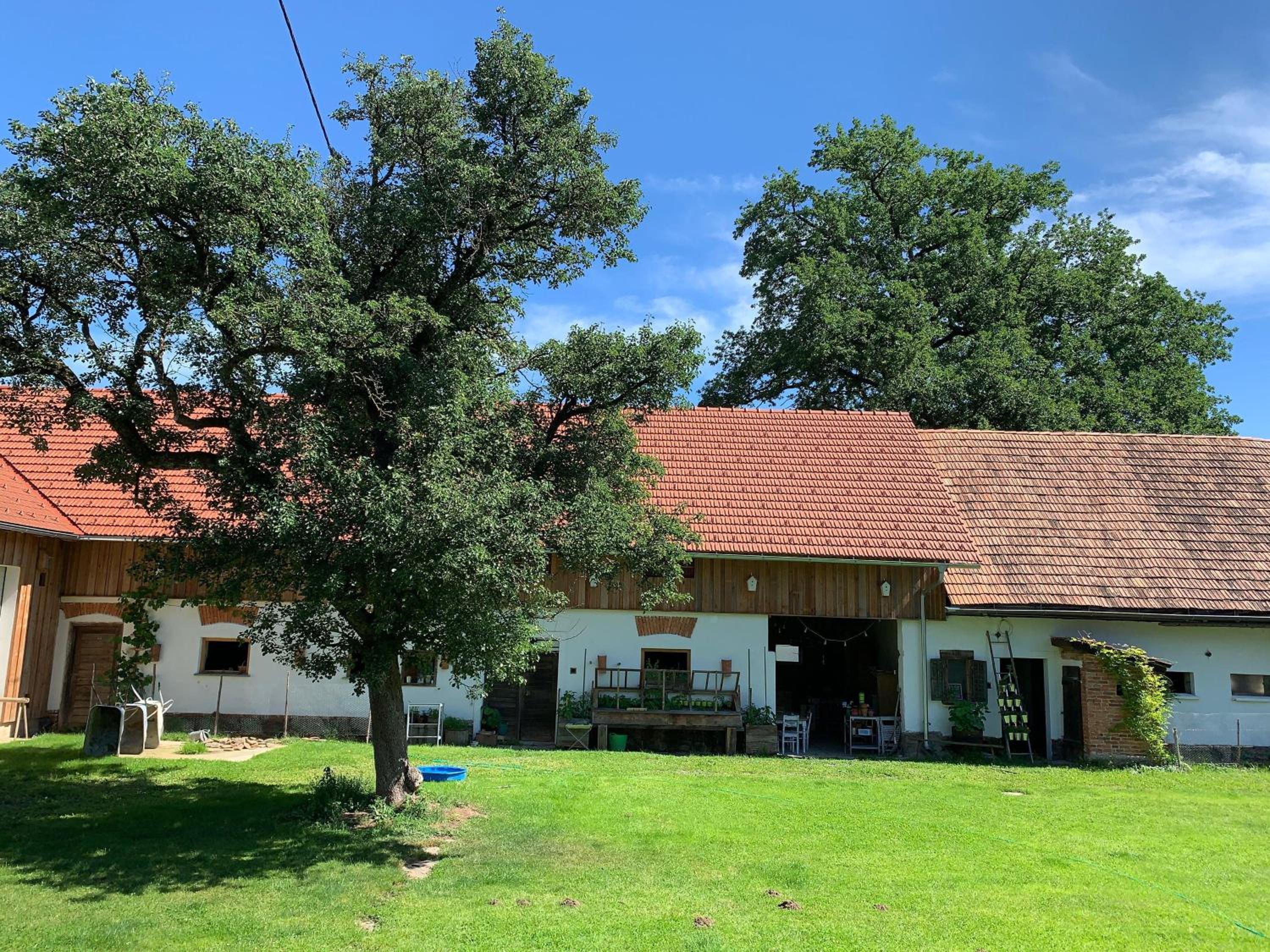 Kellerstoeckl-am-veganen-Bio-Lebenshof-nur-fuer-Hundefreunde-empfohlen