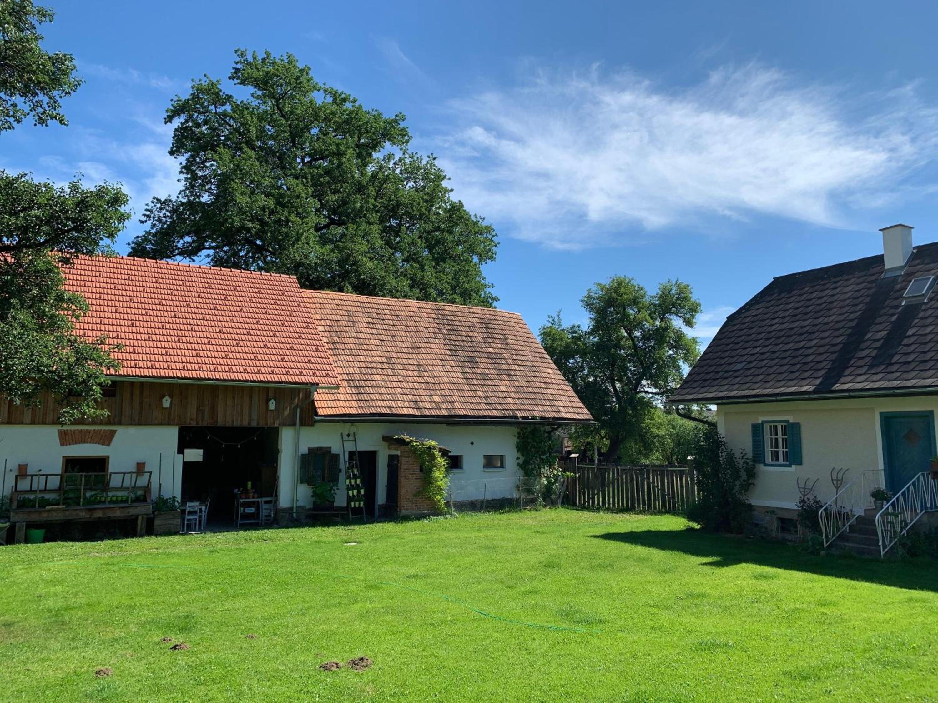 Kellerstoeckl-am-veganen-Bio-Lebenshof-nur-fuer-Hundefreunde-empfohlen