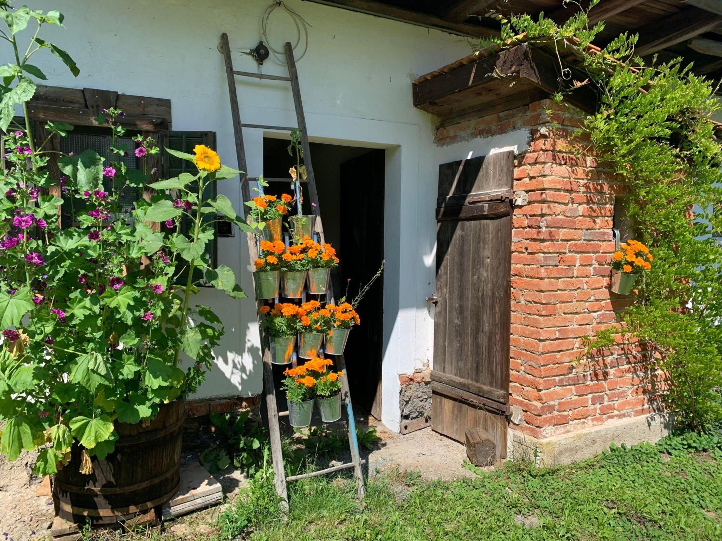 Kellerstoeckl-am-veganen-Bio-Lebenshof-nur-fuer-Hundefreunde-empfohlen