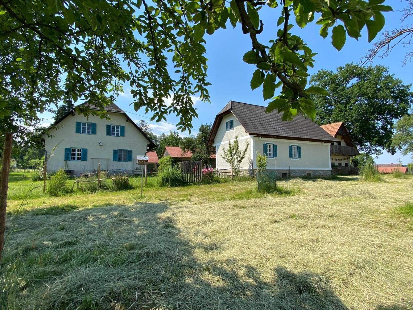 Kellerstoeckl-am-veganen-Bio-Lebenshof-nur-fuer-Hundefreunde-empfohlen