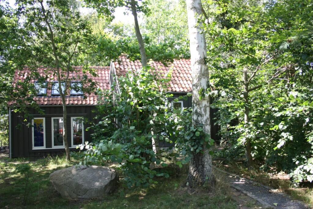 Photo 21