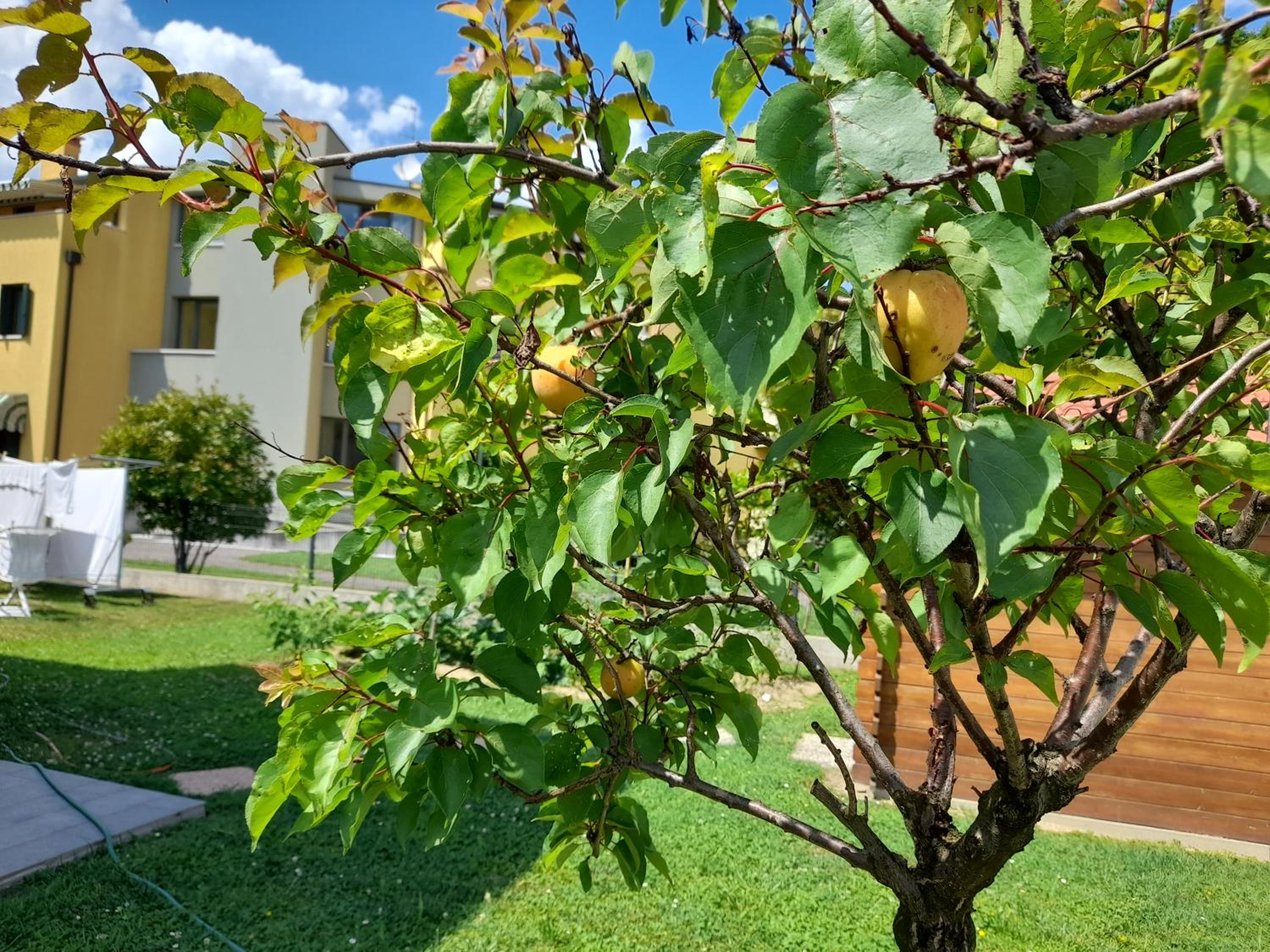B&B Villa Griselda