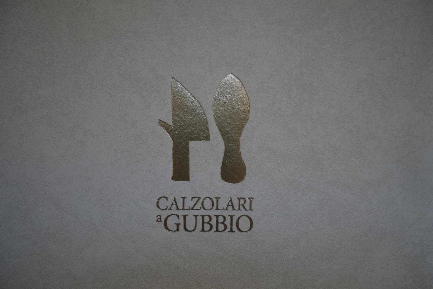Domus Calzolari