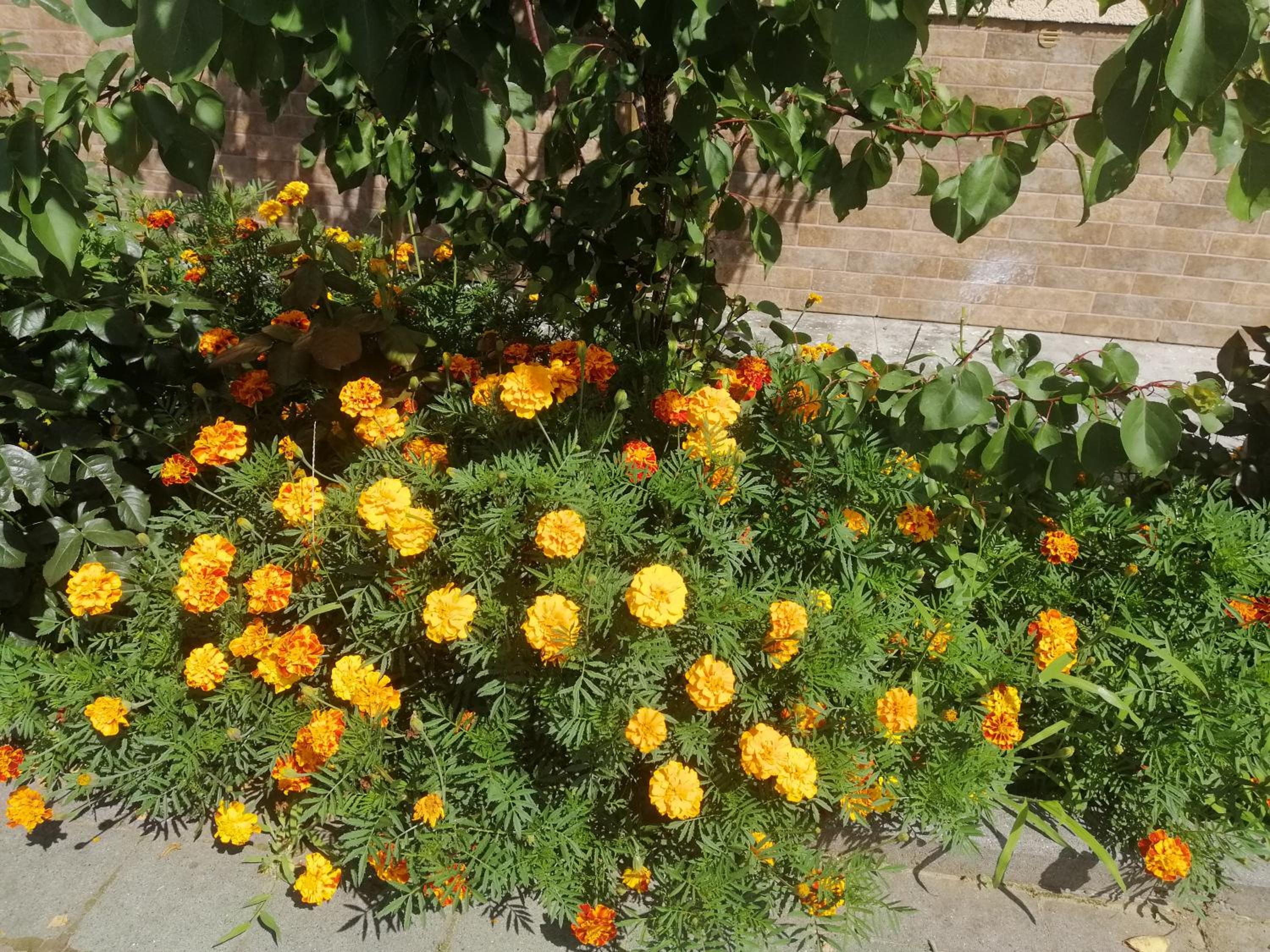Photo 63
