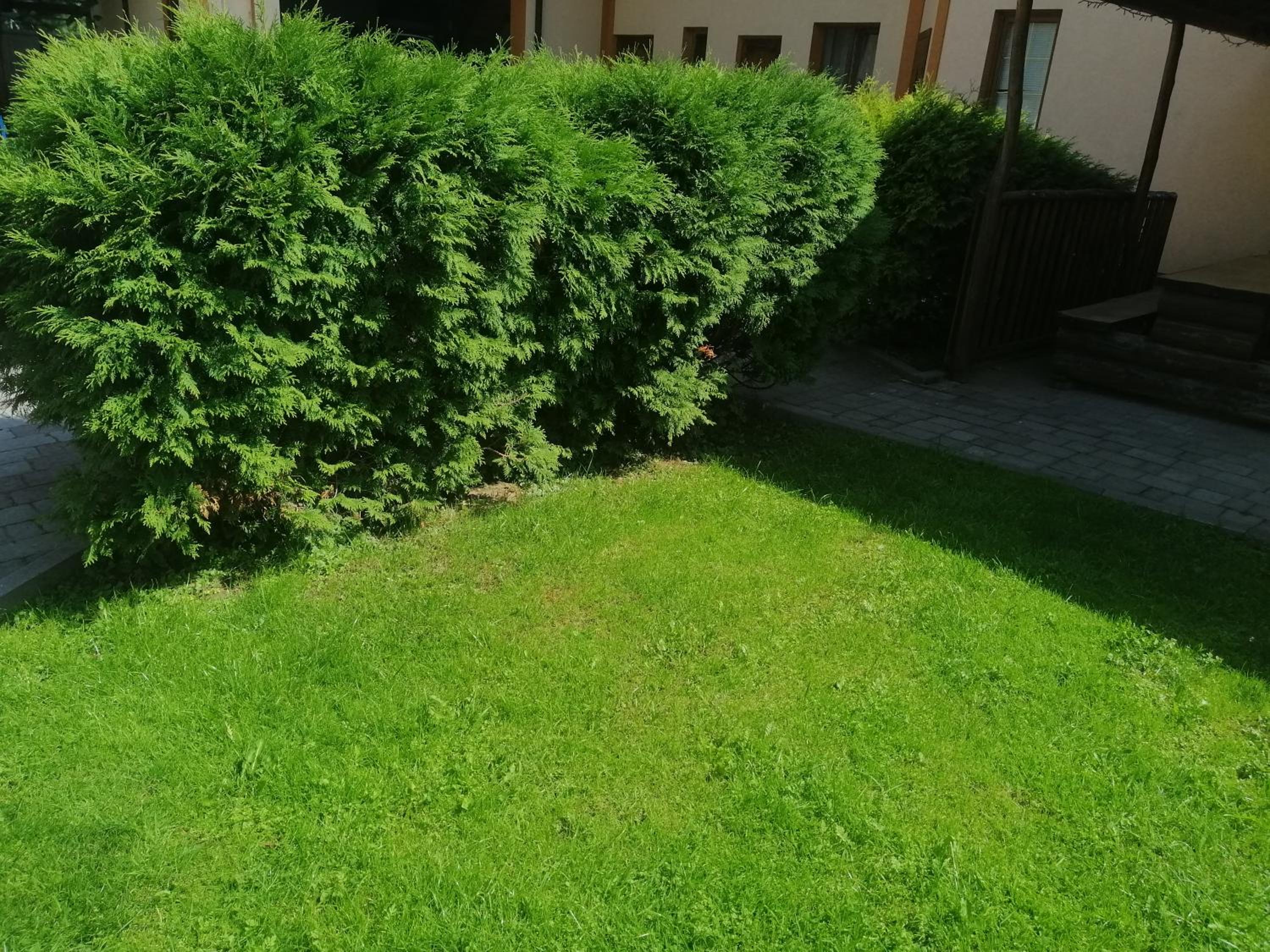 Photo 62