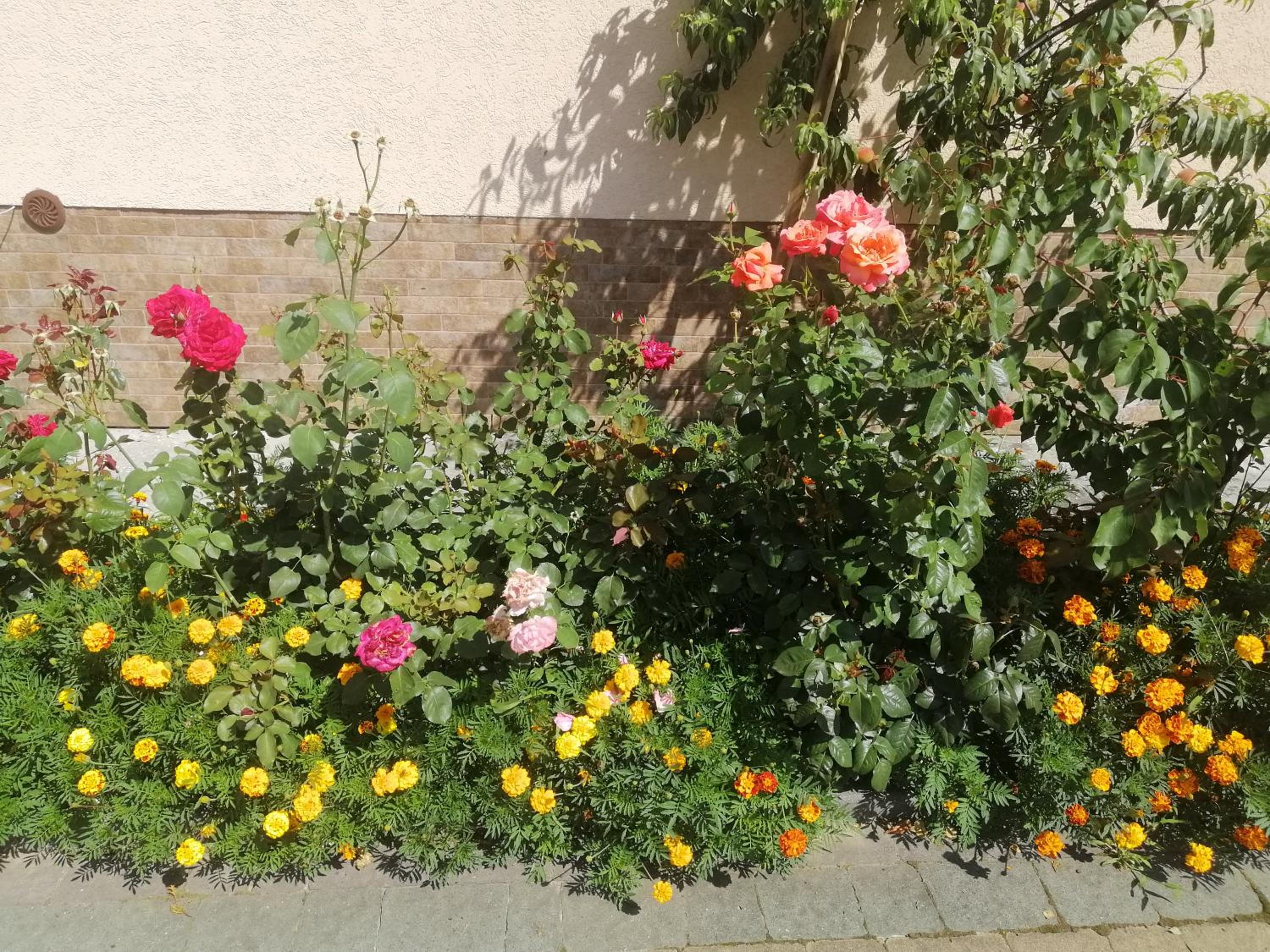 Photo 59