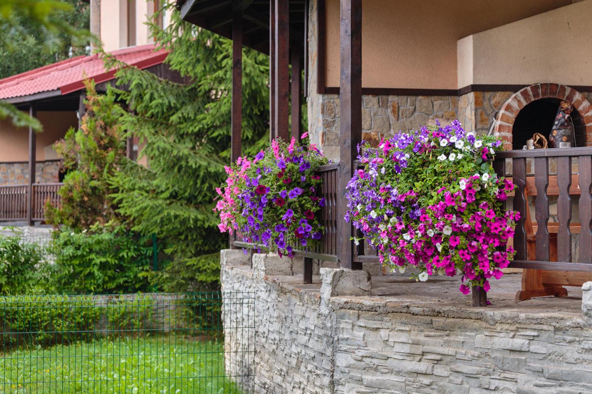 Rodopi Houses