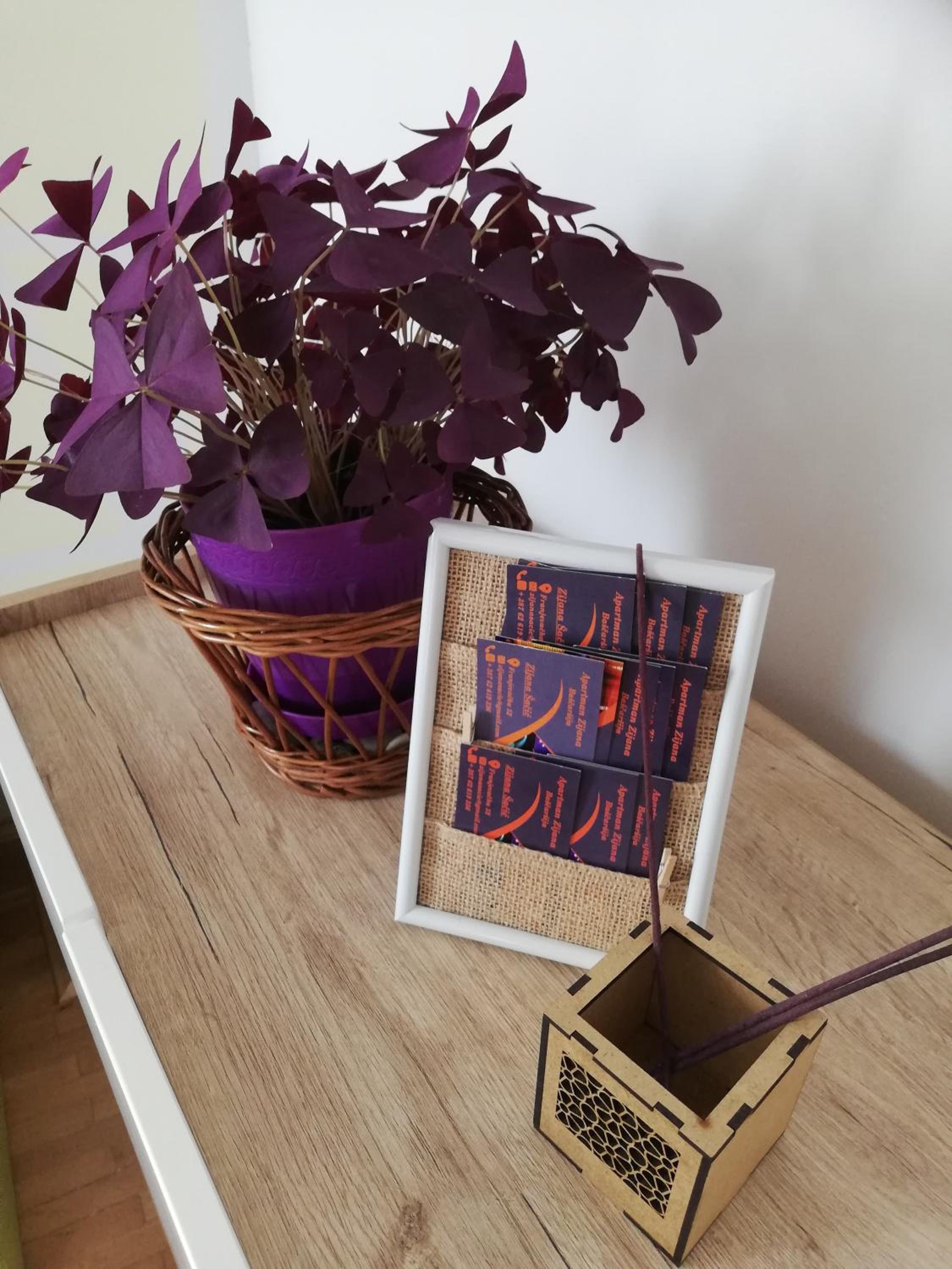 Apartman Ohren