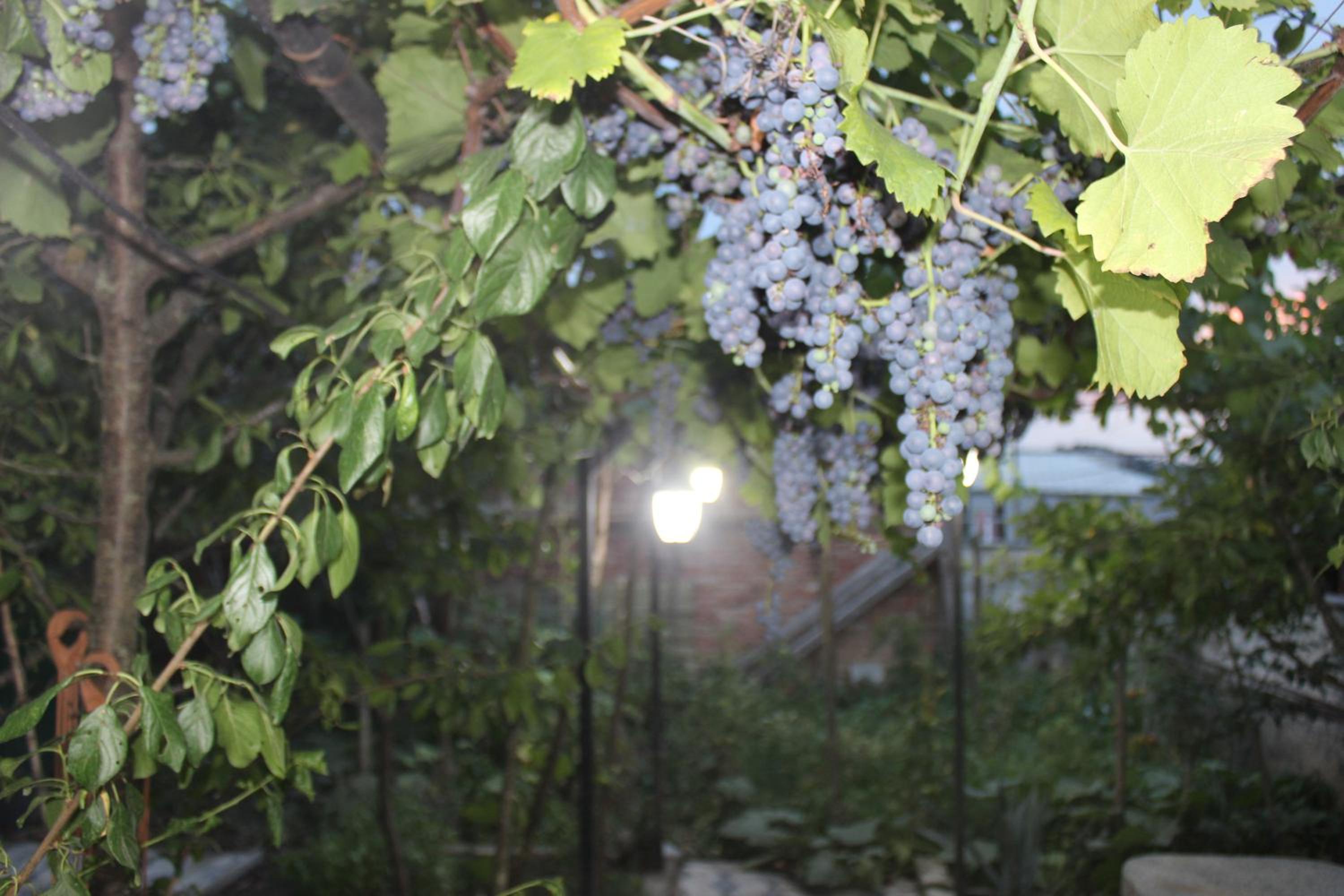 Guest house Katerina