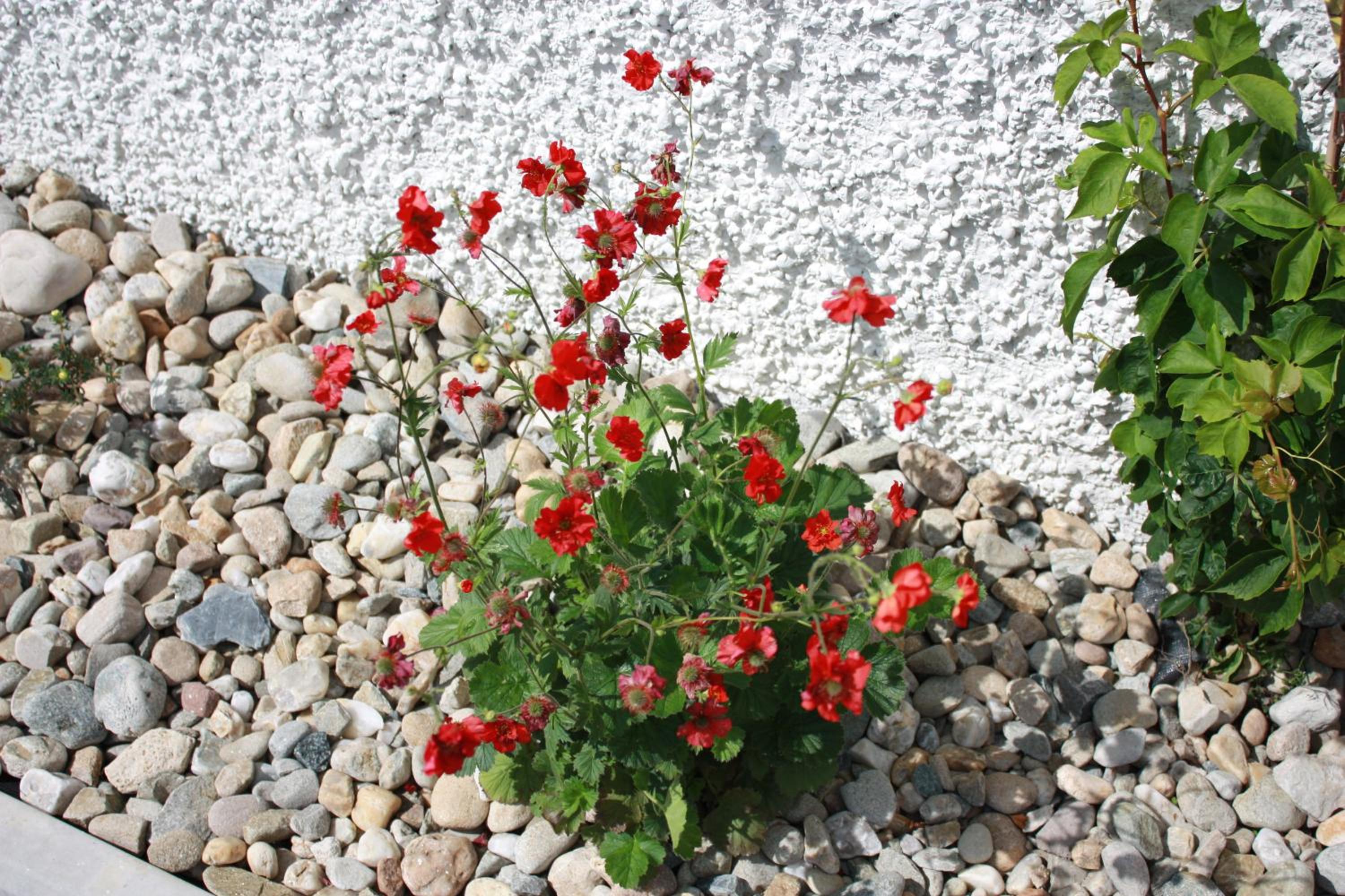 Photo 33
