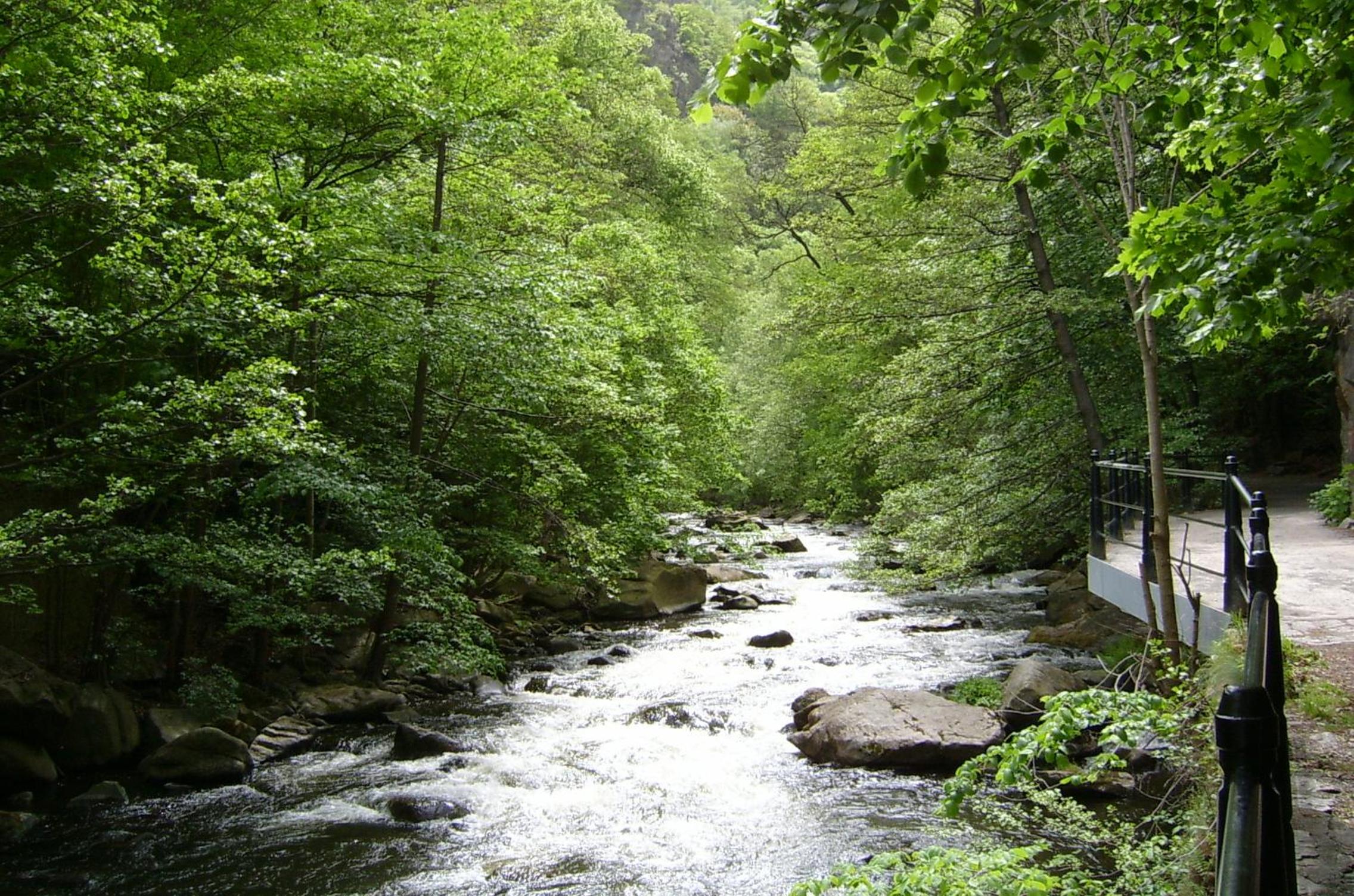 Photo 27