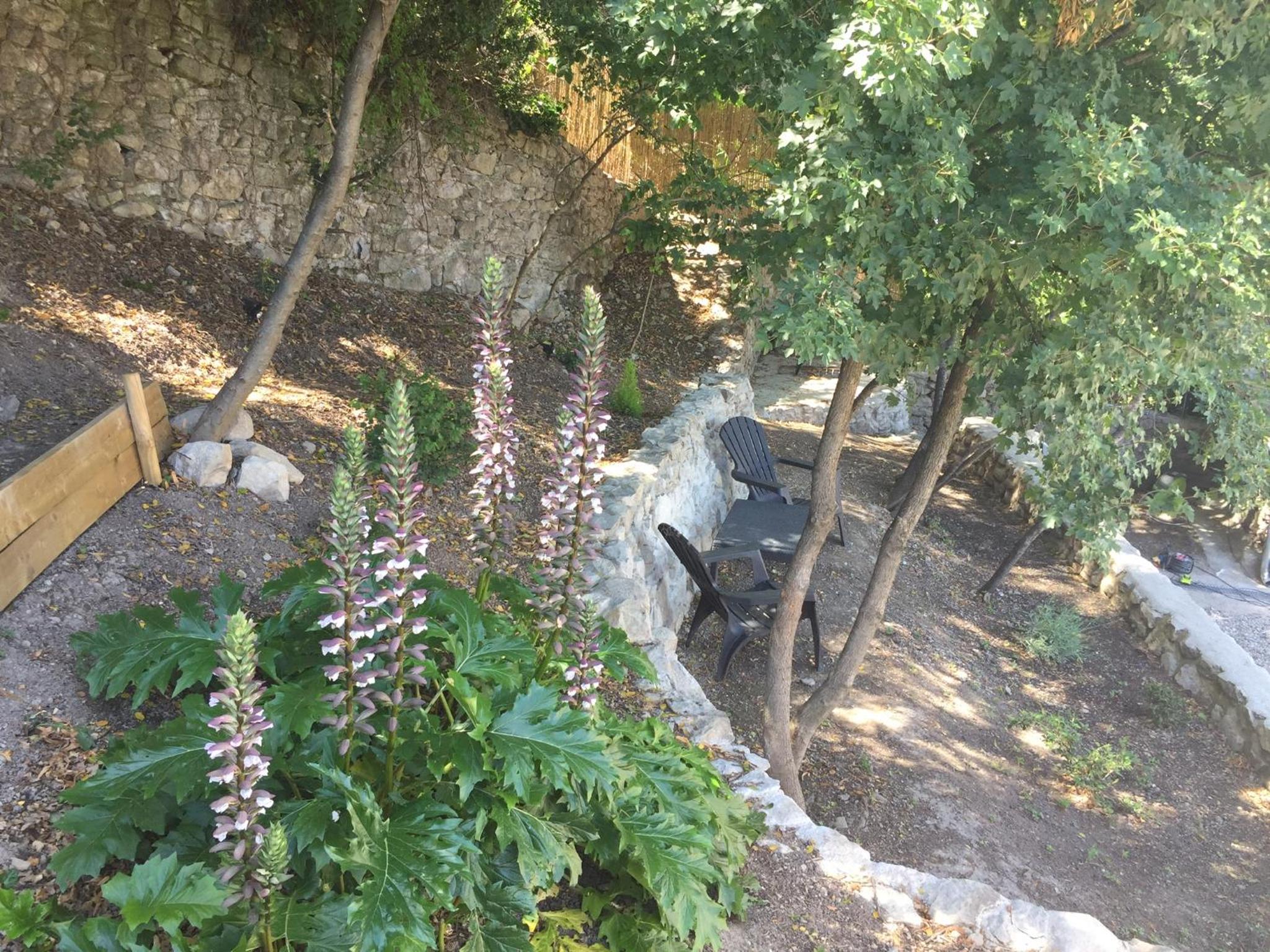 Photo 32