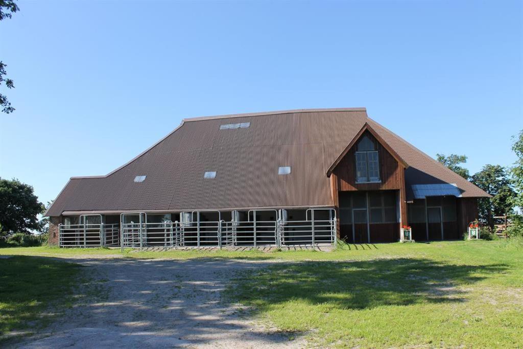 Tetenshof für Pferdeliebhaber view 4