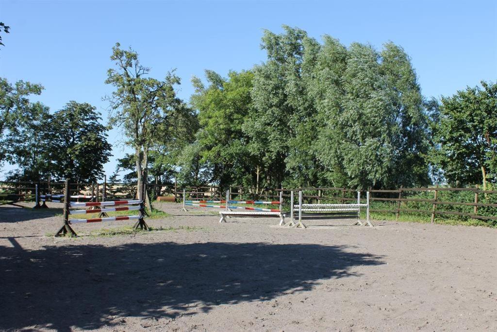 Tetenshof für Pferdeliebhaber view 5