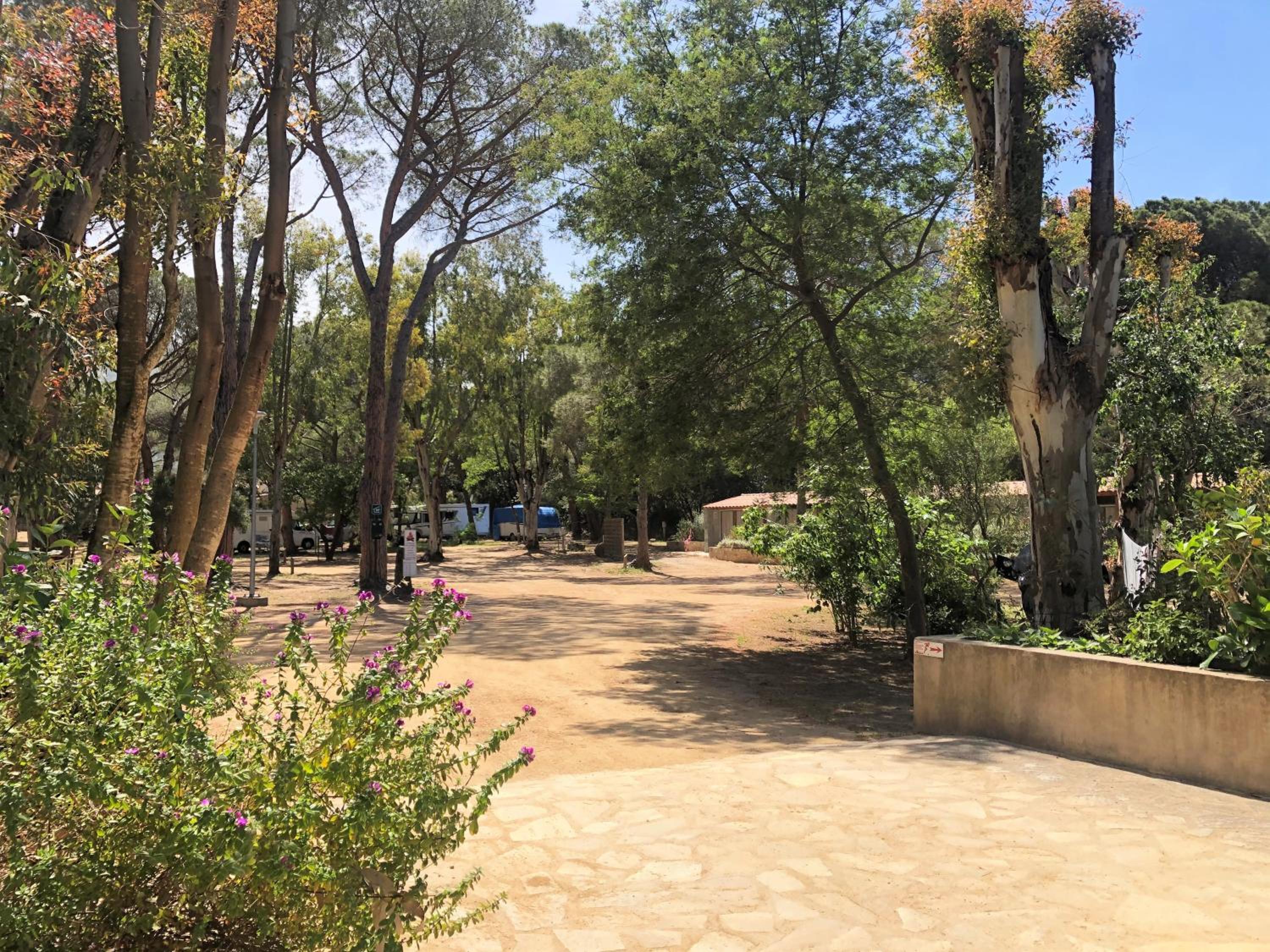 Camping La Pinède