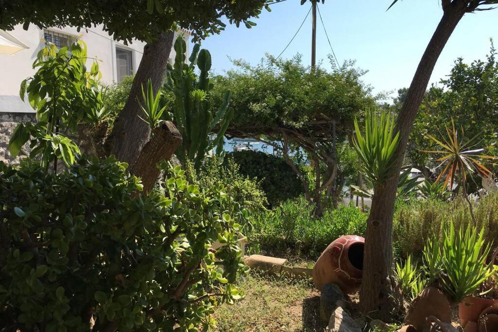 Relax & Enjoy photo 4