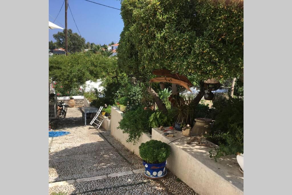 Photo 11