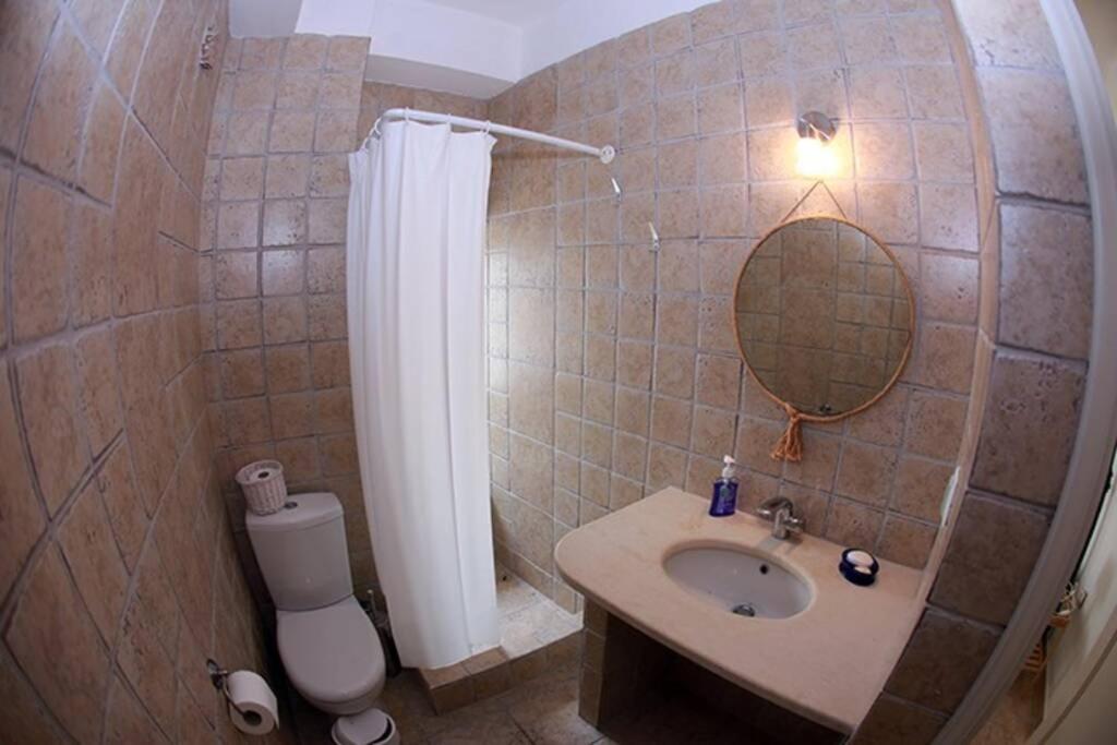 Photo 41