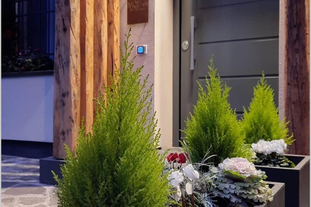 Suite moderna a due passi dal centro