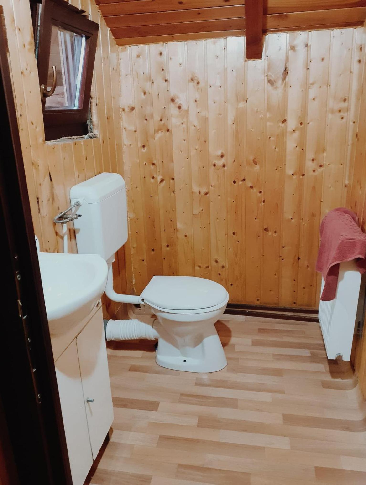 Cabana Roșia view 3
