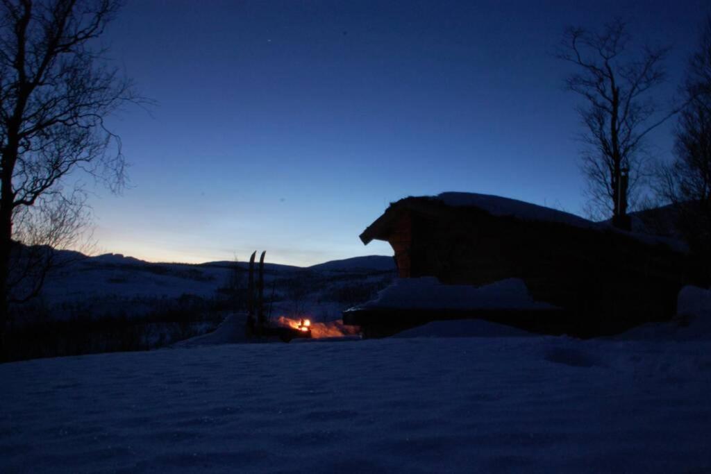 Photo 47
