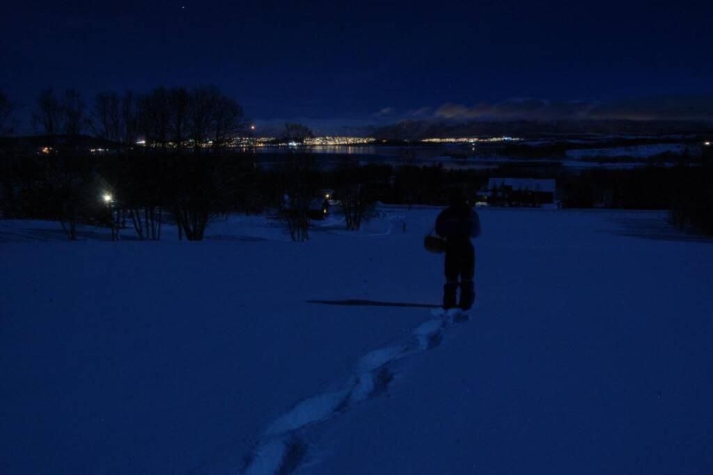 Photo 43