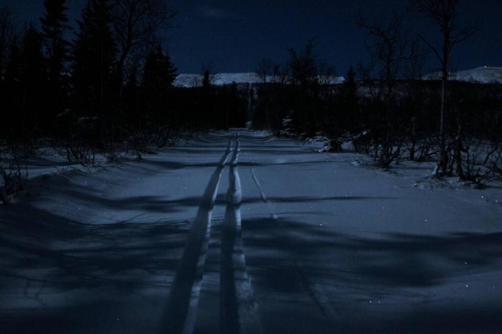 Photo 45