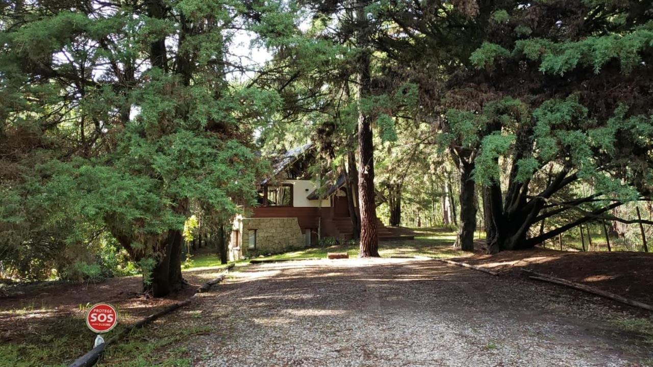 Carilo Hermosa cabaña en medio del bosque!!!