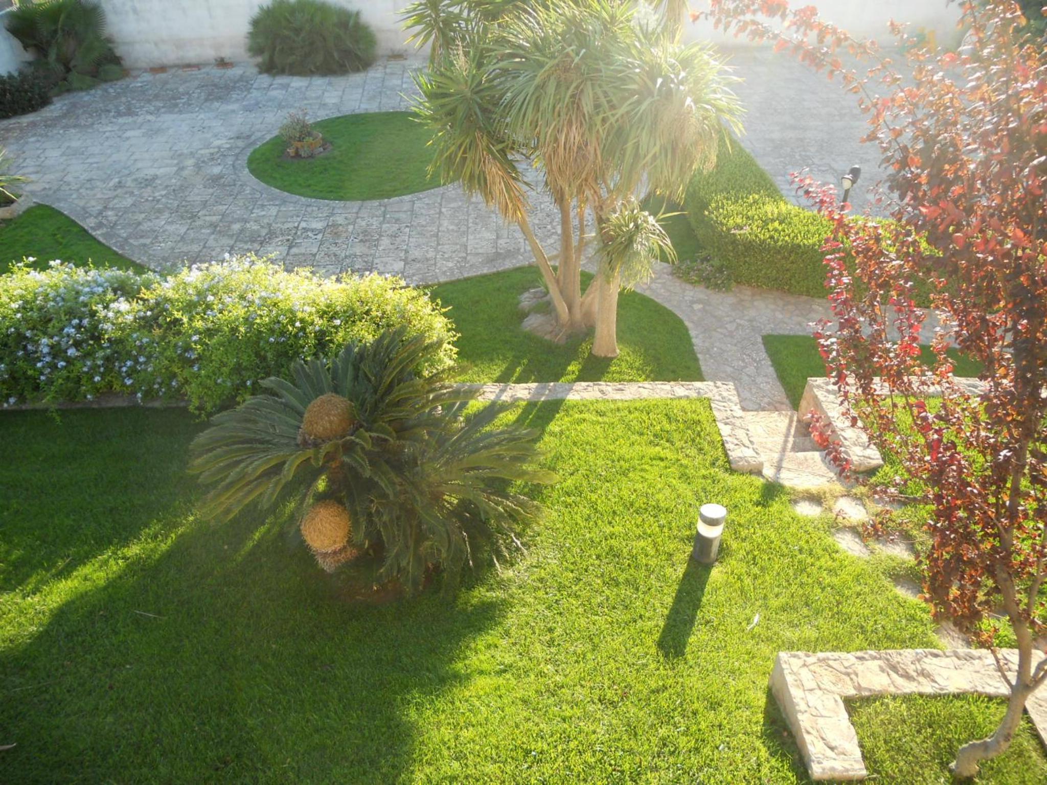 Photo 22