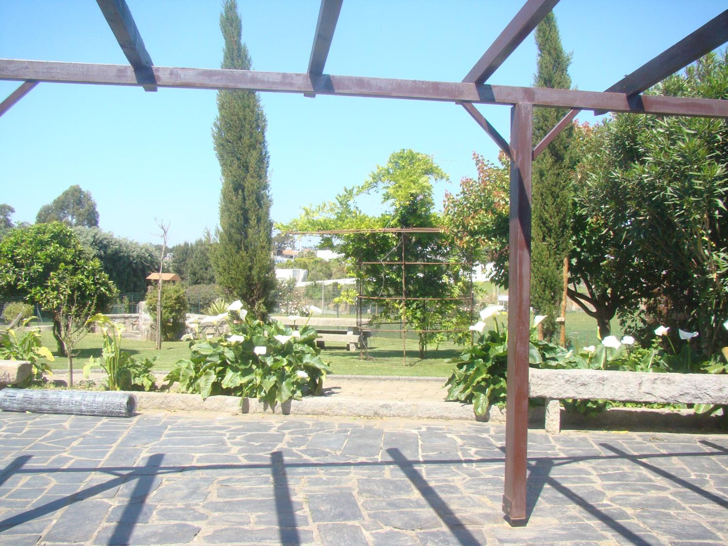 Photo 40