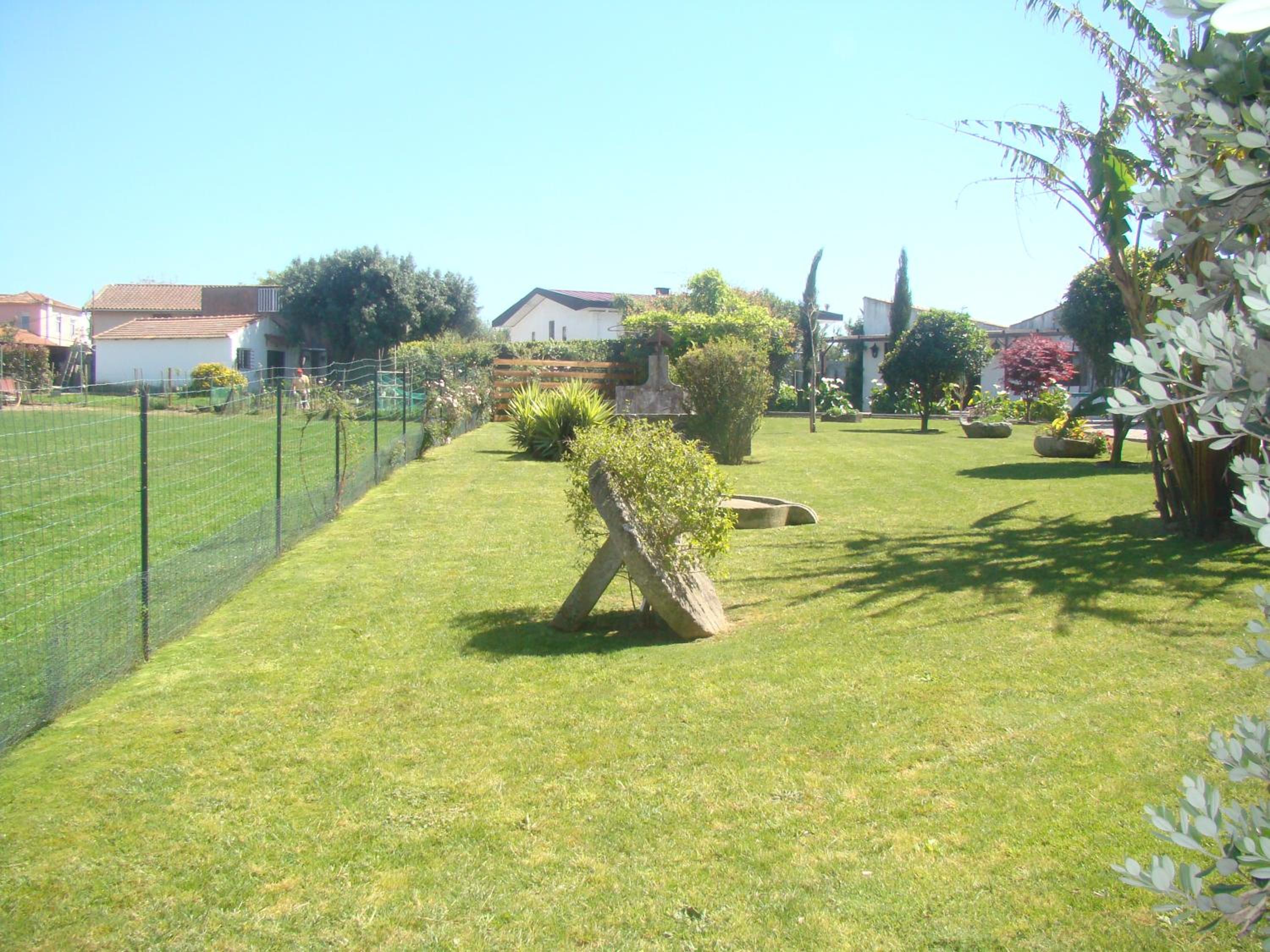 Photo 36