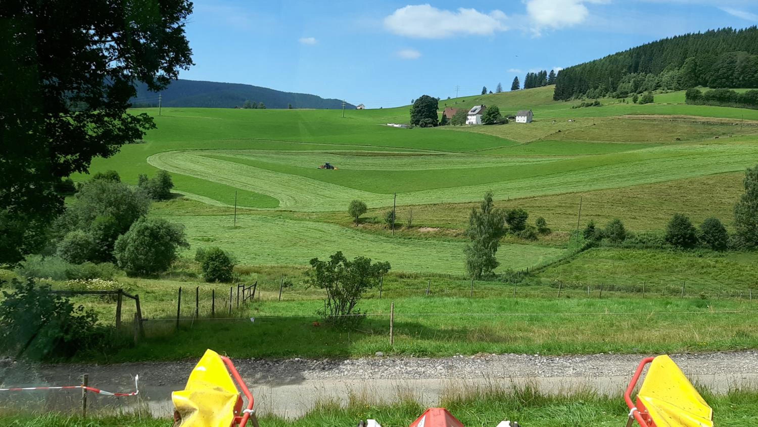Schwarzwaldblick en Titisee-Neustadt — other