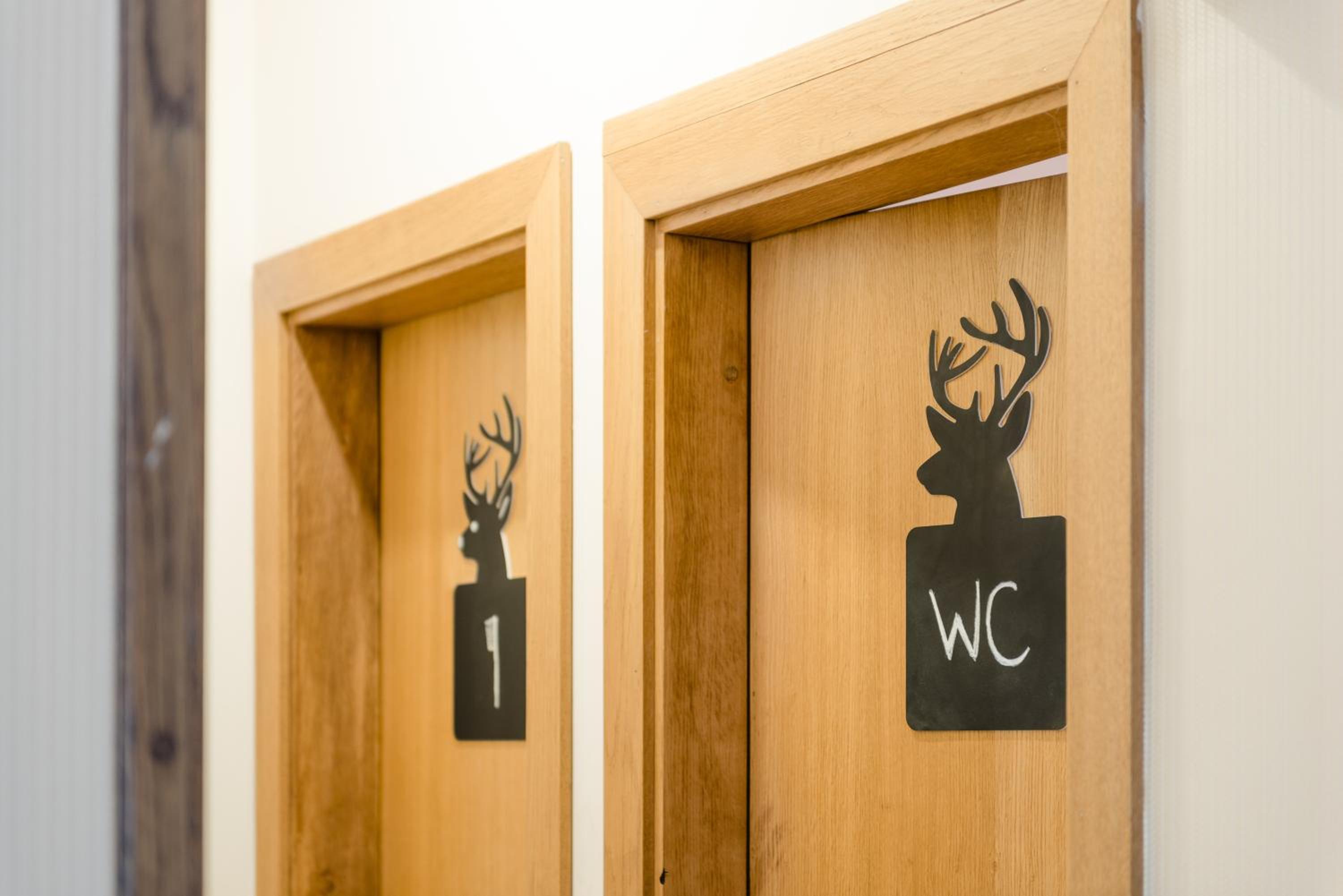 Downtown Forest Hostel & Camping
