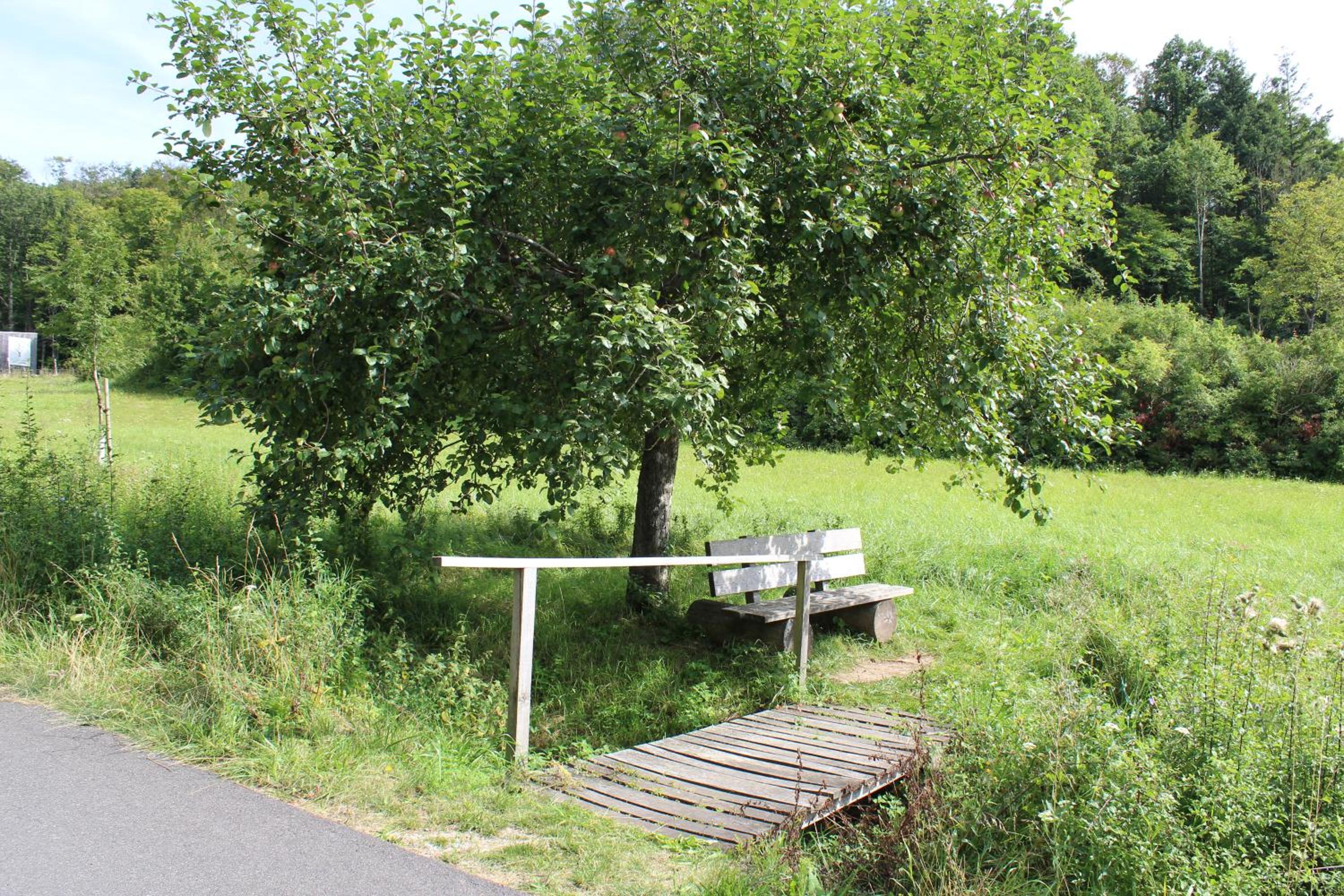 Photo 16