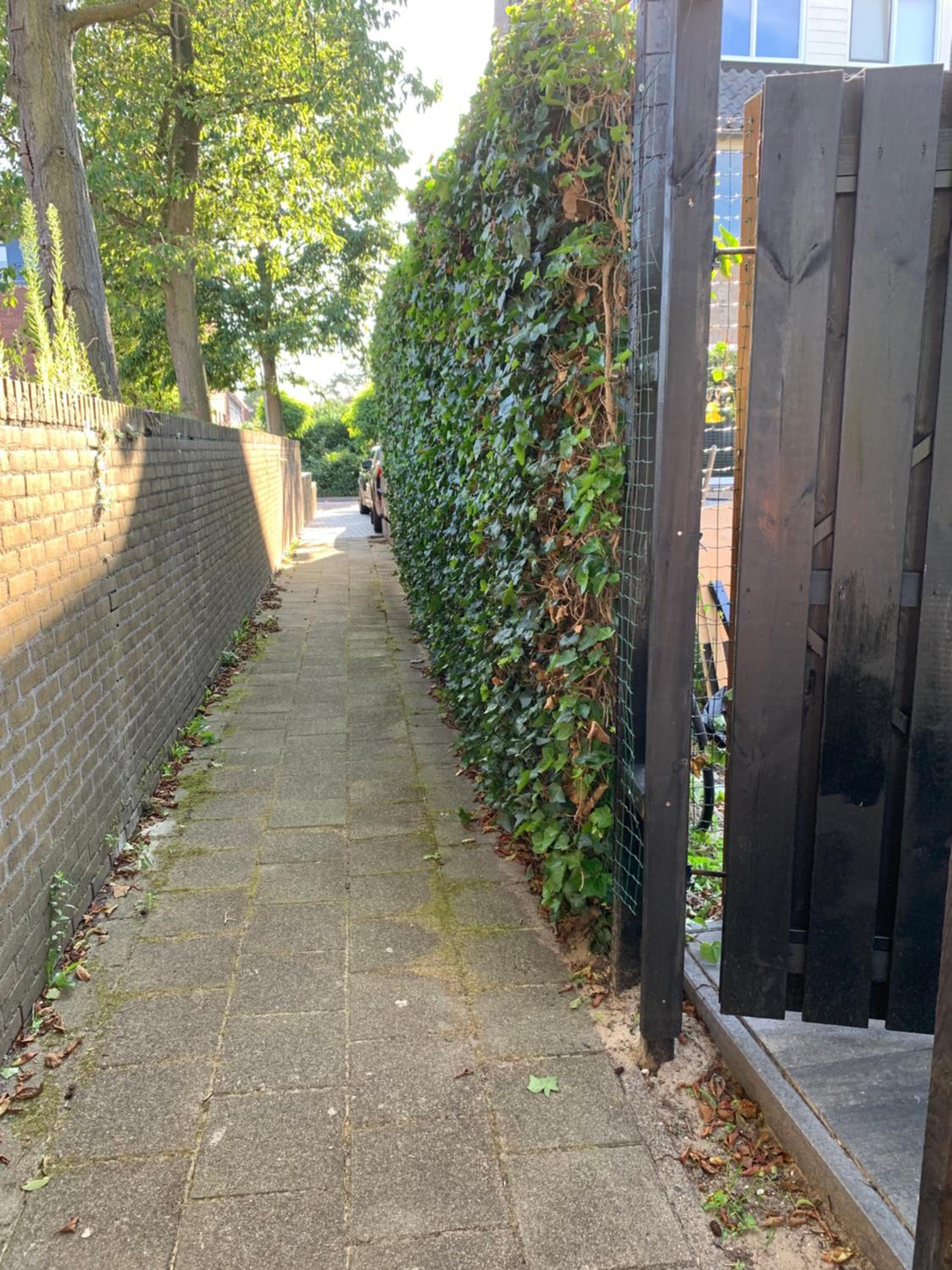 Photo 21