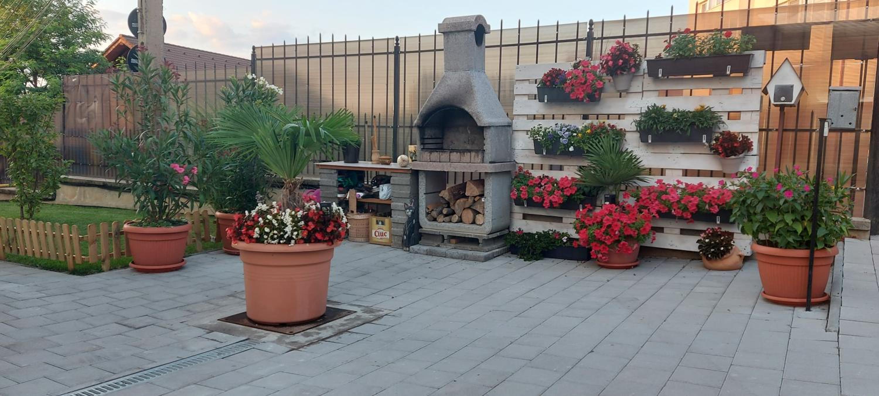 Casa Bita — photo 16